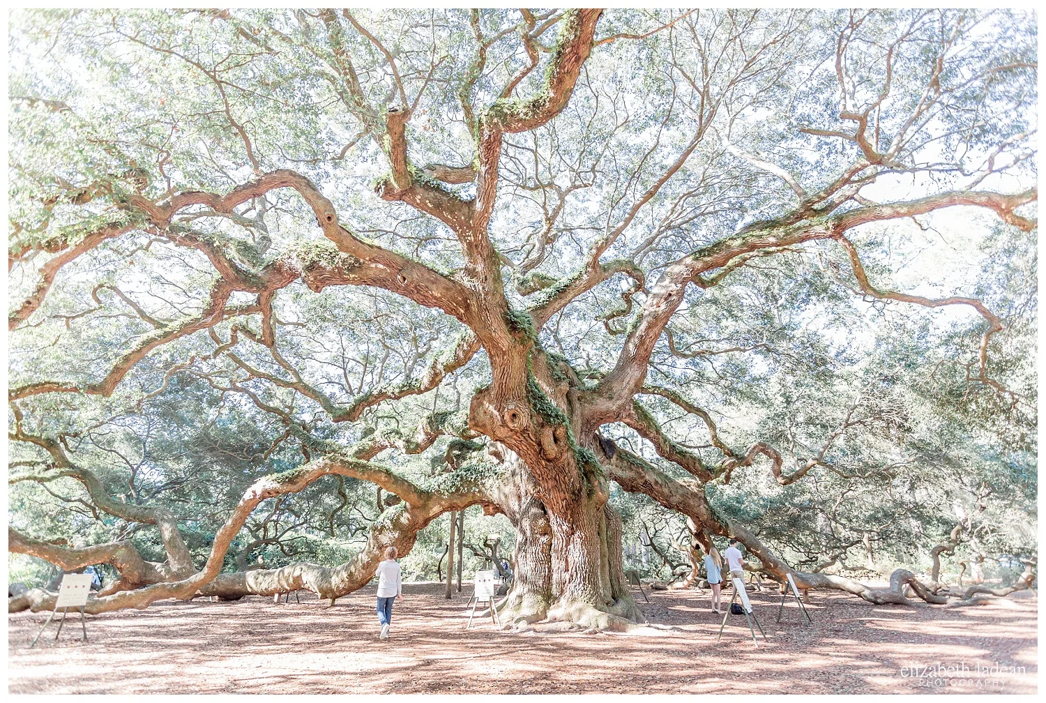Exploring-Charleston-SC-on-foot-2017-Elizabeth-Ladean-Photography-photo-_4008.jpg