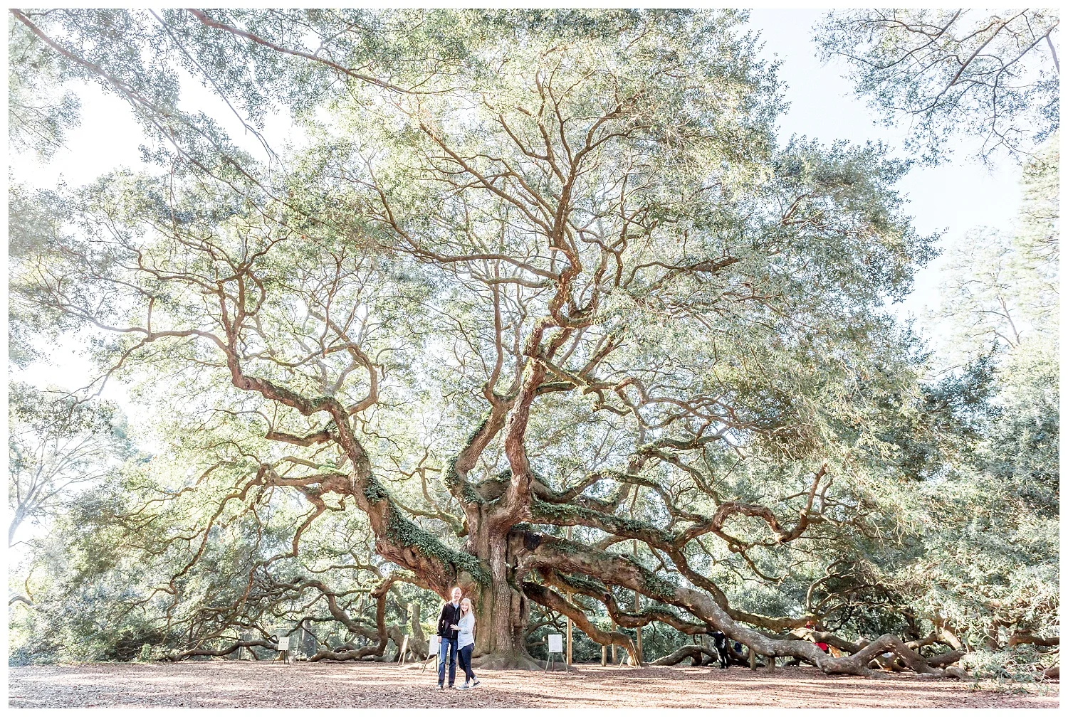 Exploring-Charleston-SC-on-foot-2017-Elizabeth-Ladean-Photography-photo-_4011.jpg