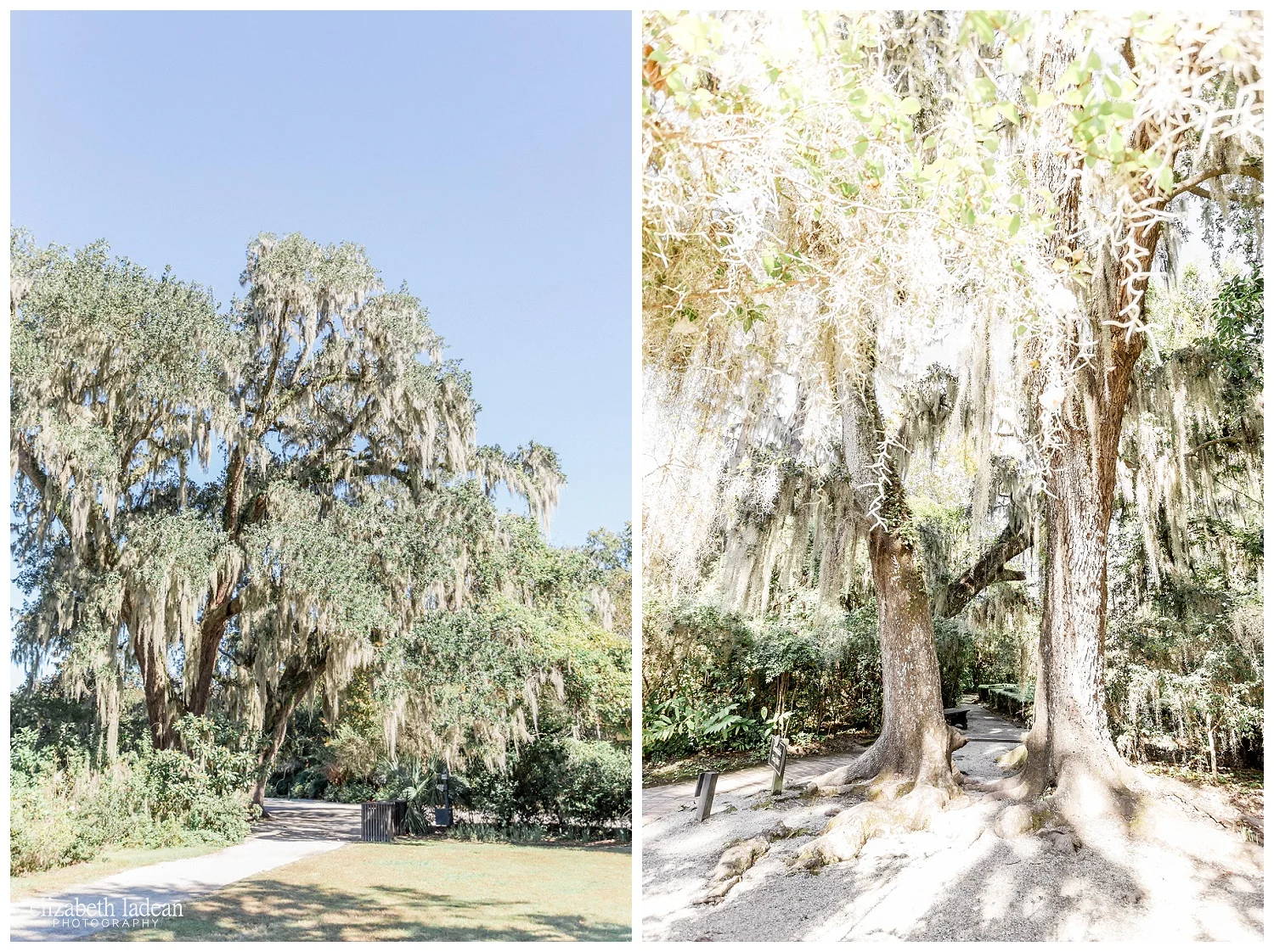 Exploring-Charleston-SC-on-foot-2017-Elizabeth-Ladean-Photography-photo-_4019.jpg