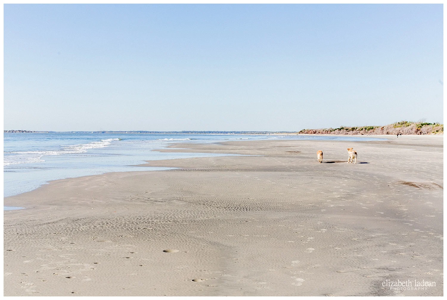 Exploring-Charleston-SC-on-foot-2017-Elizabeth-Ladean-Photography-photo-_4037.jpg