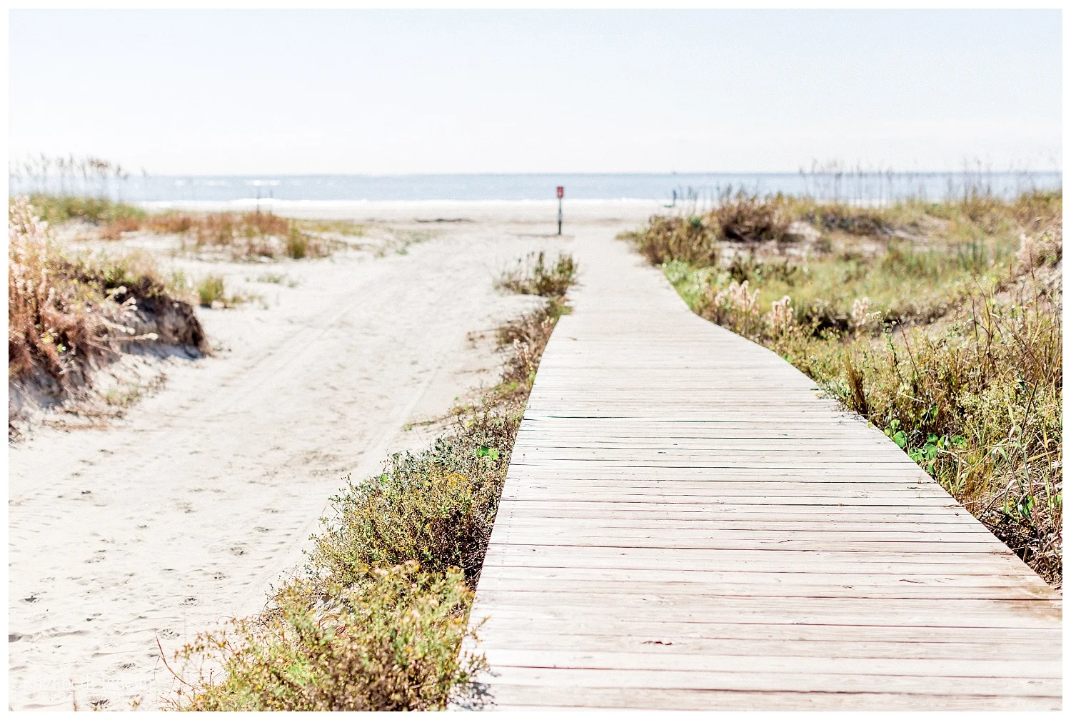 Exploring-Charleston-SC-on-foot-2017-Elizabeth-Ladean-Photography-photo-_4050.jpg