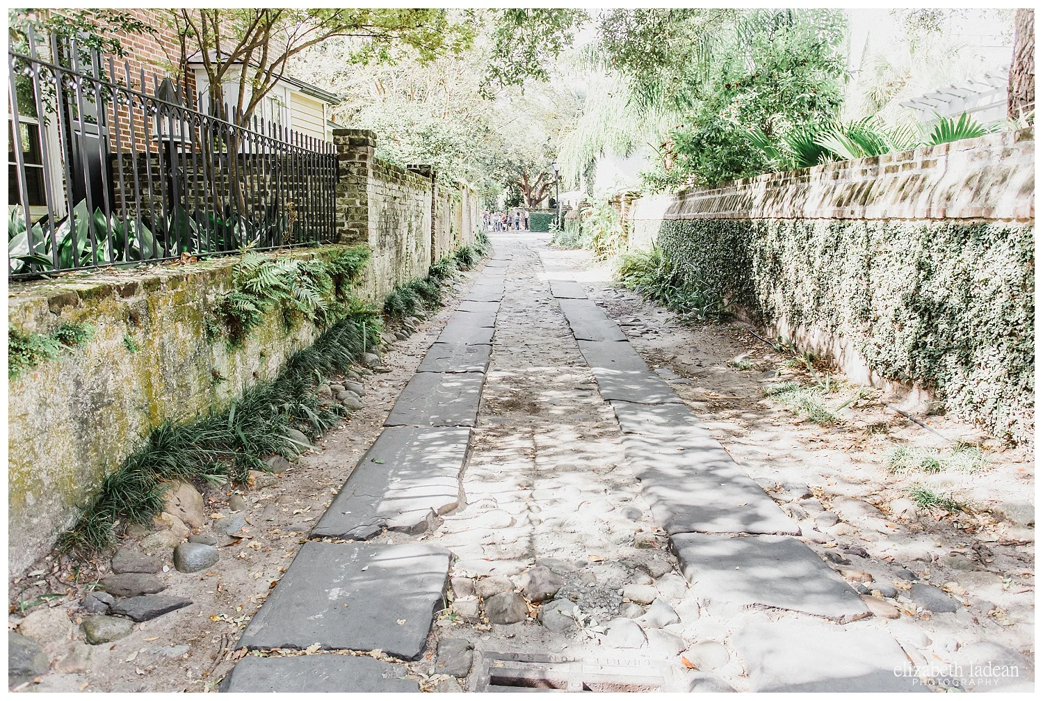 Exploring-Charleston-SC-on-foot-2017-Elizabeth-Ladean-Photography-photo-_4072.jpg