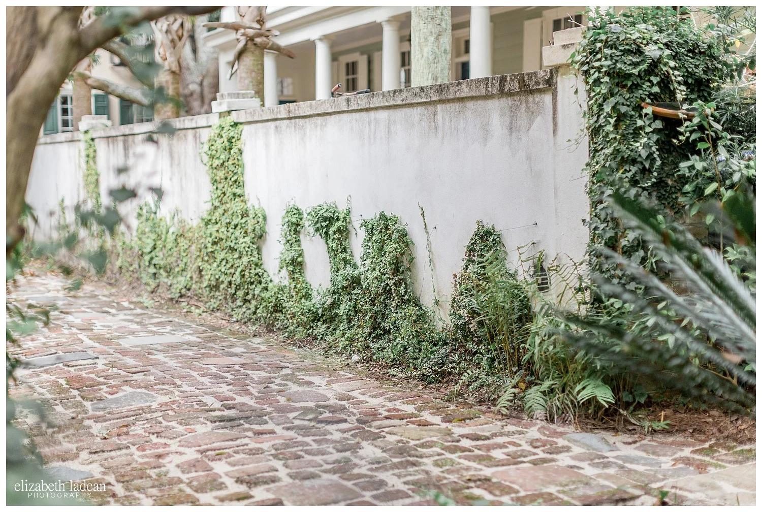 Exploring-Charleston-SC-on-foot-2017-Elizabeth-Ladean-Photography-photo-_4074.jpg