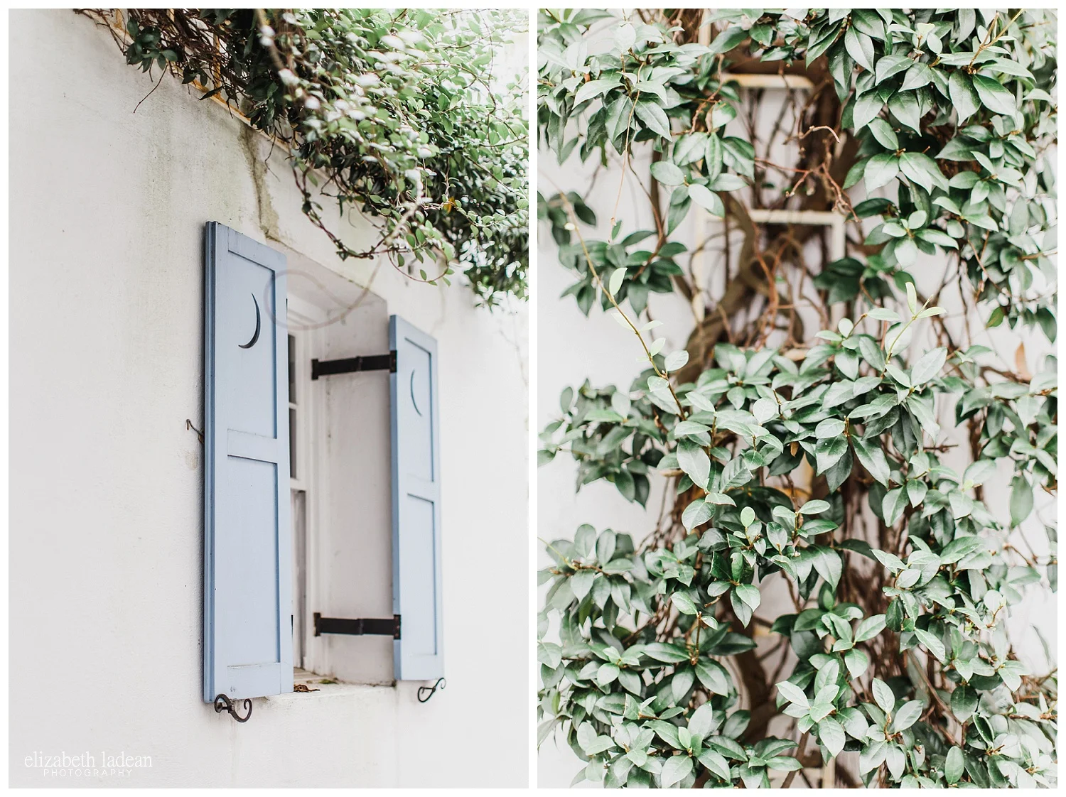 Exploring-Charleston-SC-on-foot-2017-Elizabeth-Ladean-Photography-photo-_4075.jpg
