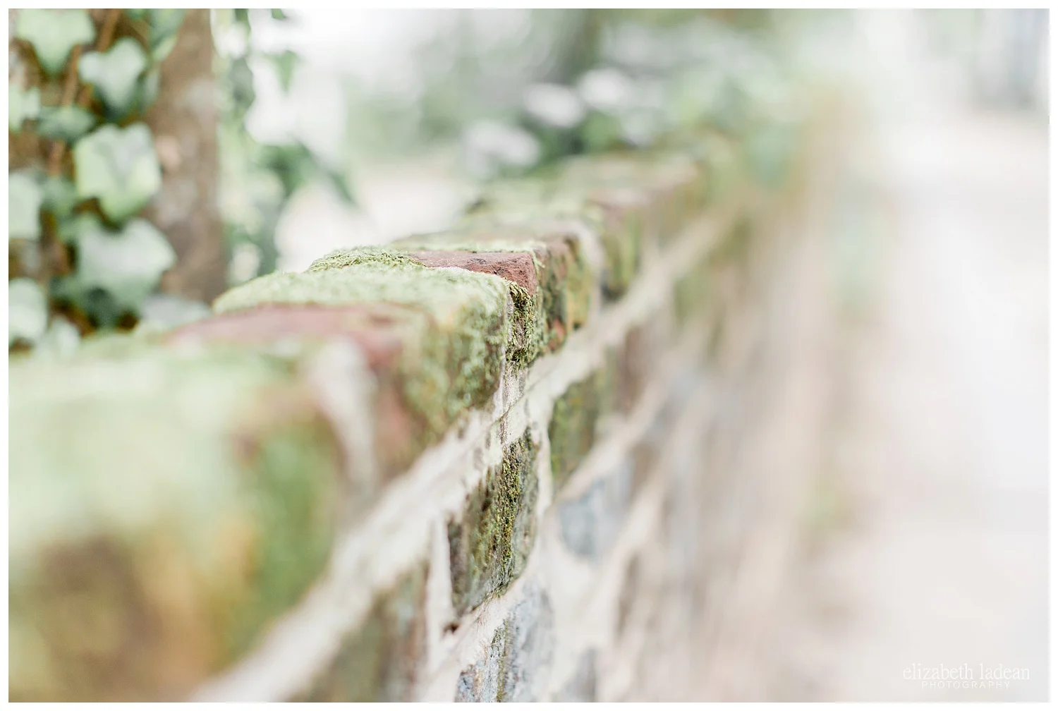 Exploring-Charleston-SC-on-foot-2017-Elizabeth-Ladean-Photography-photo-_4077.jpg