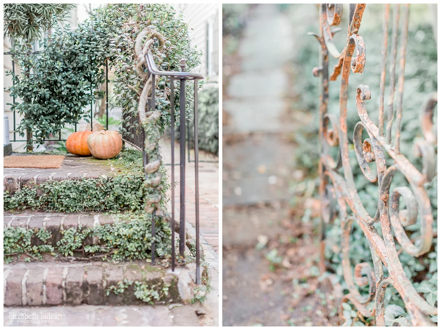Exploring-Charleston-SC-on-foot-2017-Elizabeth-Ladean-Photography-photo-_4079.jpg
