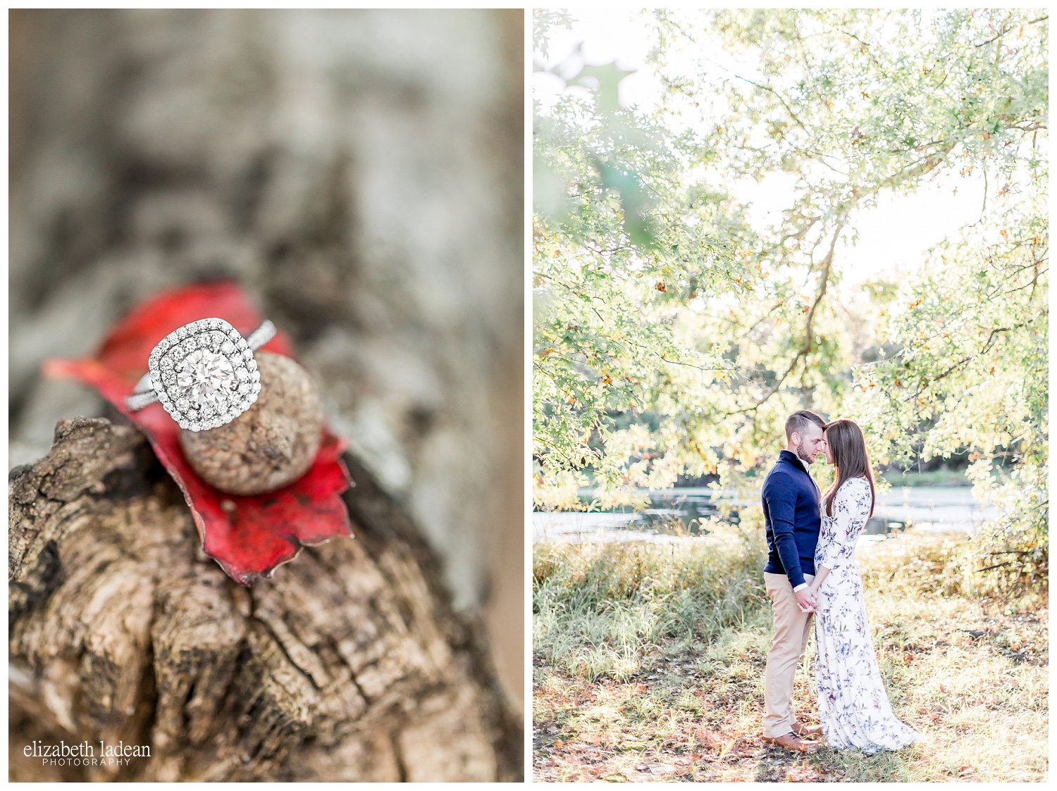 Golden-Midwest-Light-Engagement-Session-T+N-Elizabeth-Ladean-Photography-photo-_5141.jpg