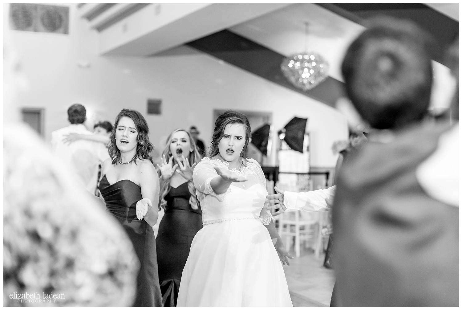 Kansas-City-KC-Wedding-Photographer-2017BestOf-Elizabeth-Ladean-Photography-photo-_6018.jpg