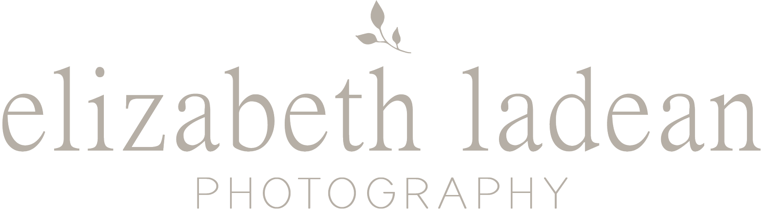 Wedding and Elopement Photography | Elizabeth Ladean Photography