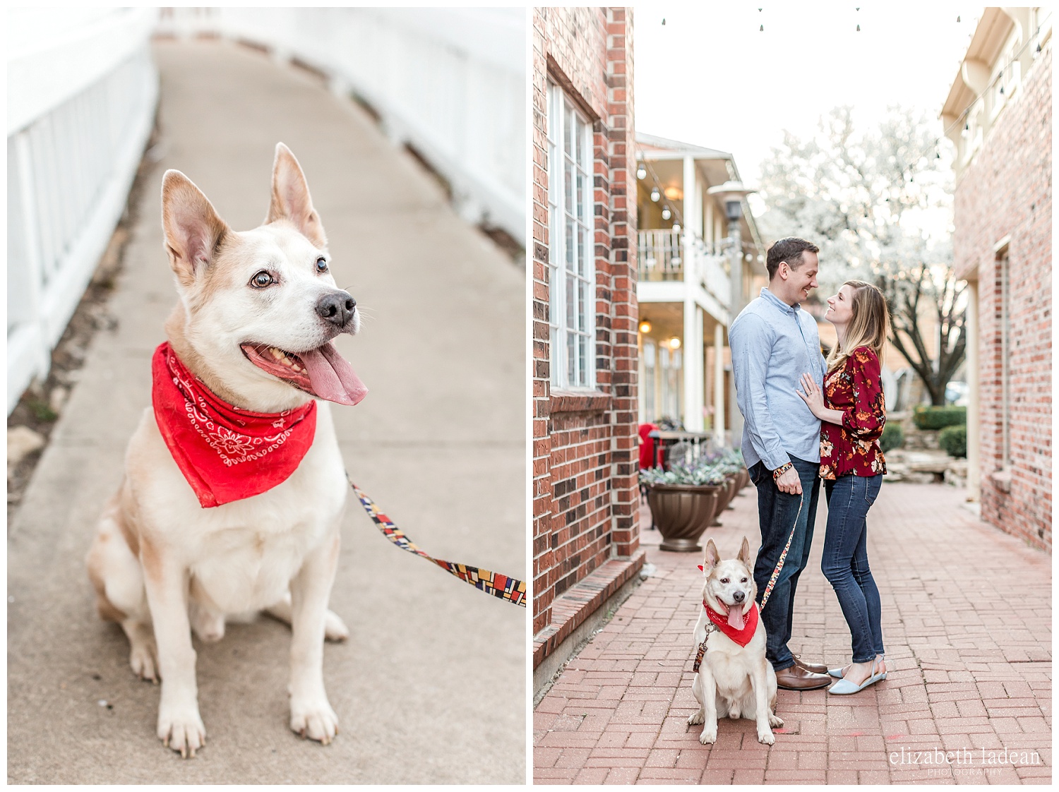 Parkville-Engagement-Photographer-A+J2018-elizabeth-ladean-photography-photo-_6663.jpg