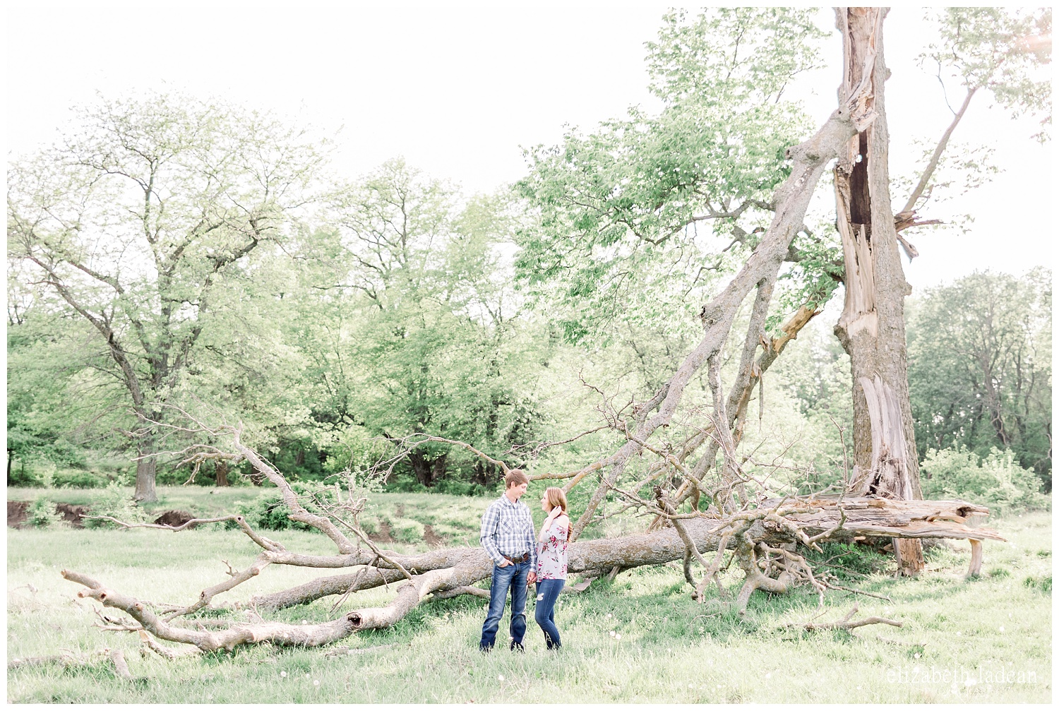 Woodsy engagement session