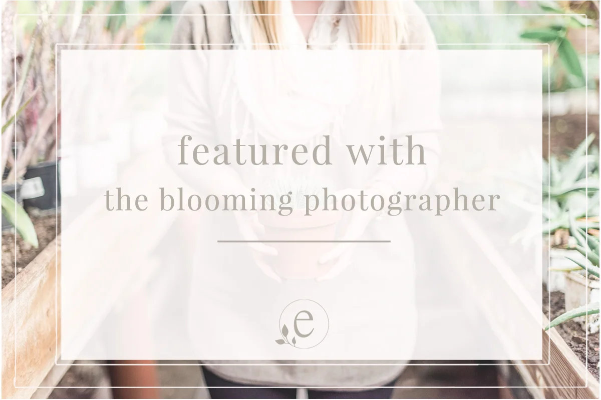 Featured with The Blooming Photographer 