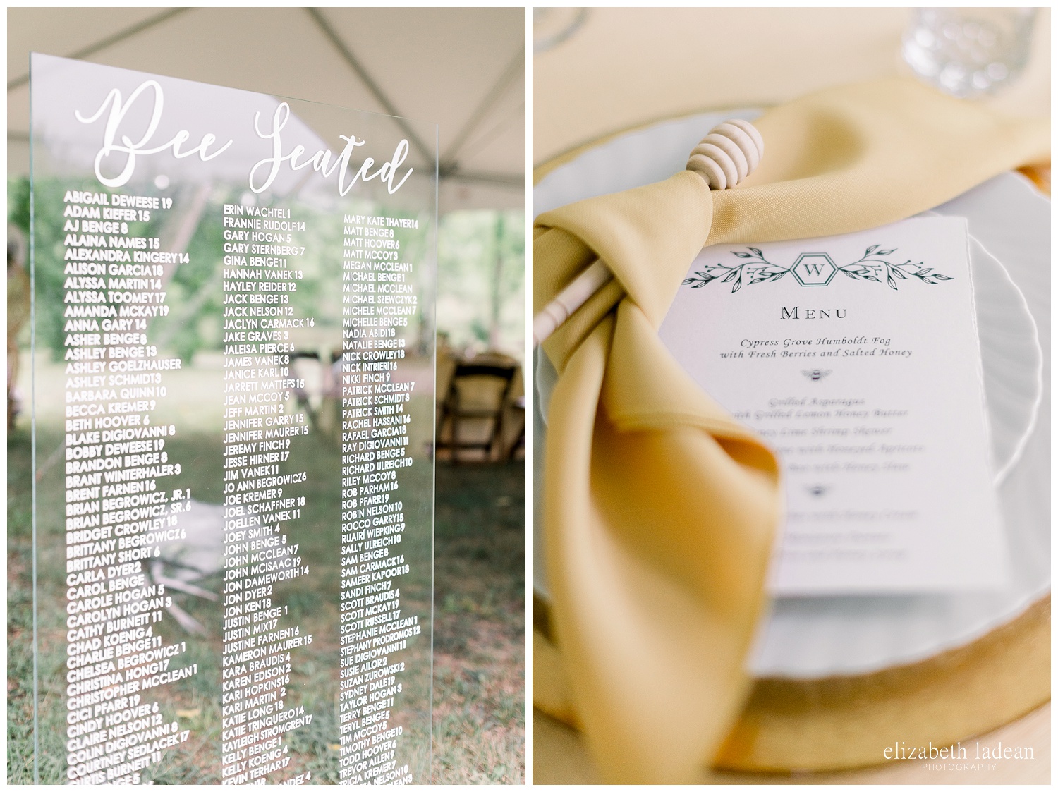 adventurous-wedding-photos-at-wildcliff-July2018-elizabeth-ladean-photography-photo-_9598.jpg