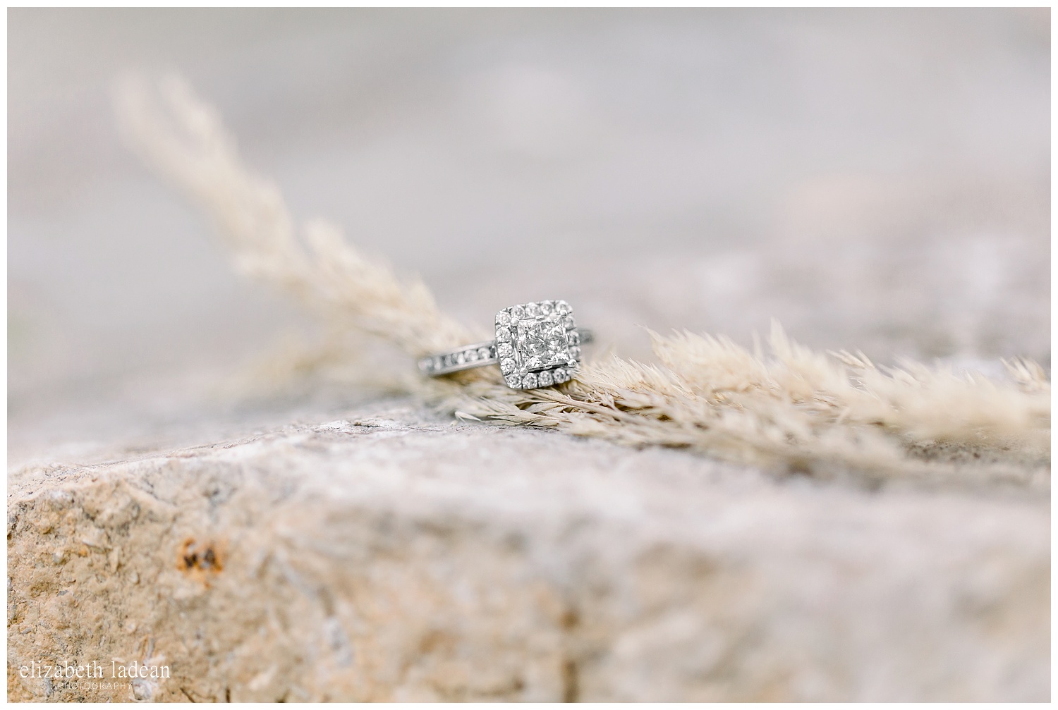 Kansas-City-Natural-Light-Engagement-Photos-Loose-Park-K+A2018-elizabeth-ladean-photography-photo_0349.jpg