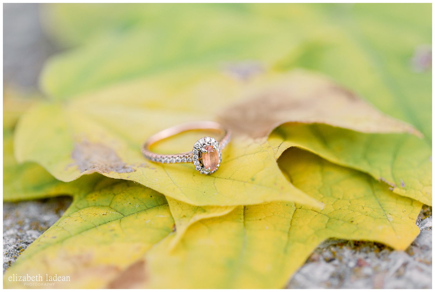 Northland-KC-Fall-Engagement-Photos-with-dog-A+B-2018-elizabeth-ladean-photography-photo_1500.jpg