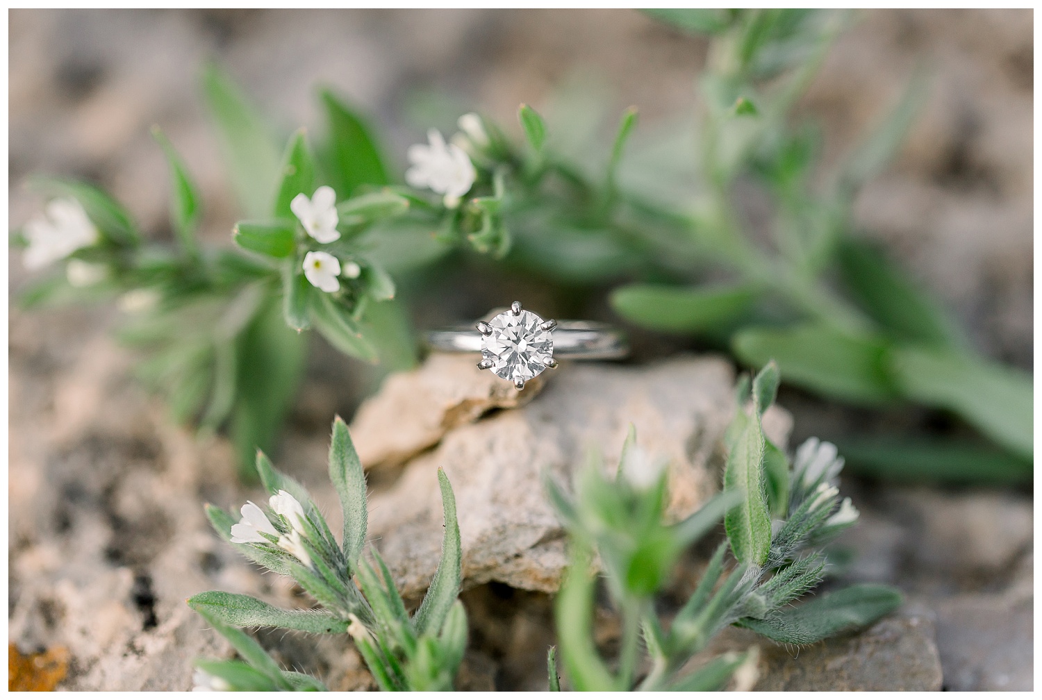 Engagement-Photos-at-Watkins-Mill-Elizabeth-Ladean-Photography_A+J-0409--_6904.jpg