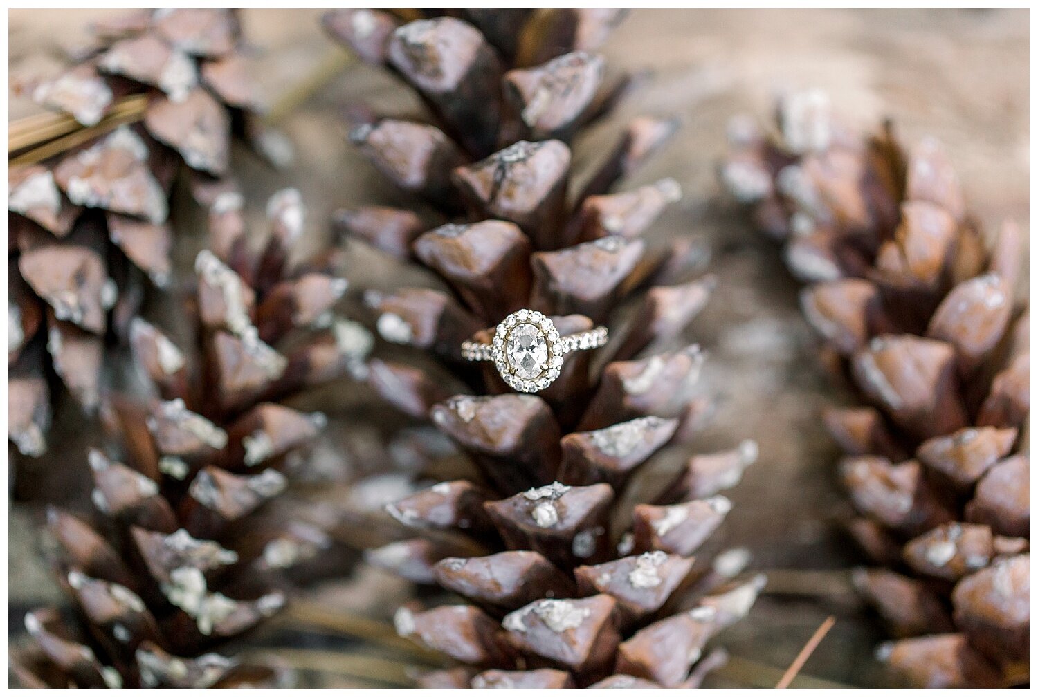 engagement ring photos