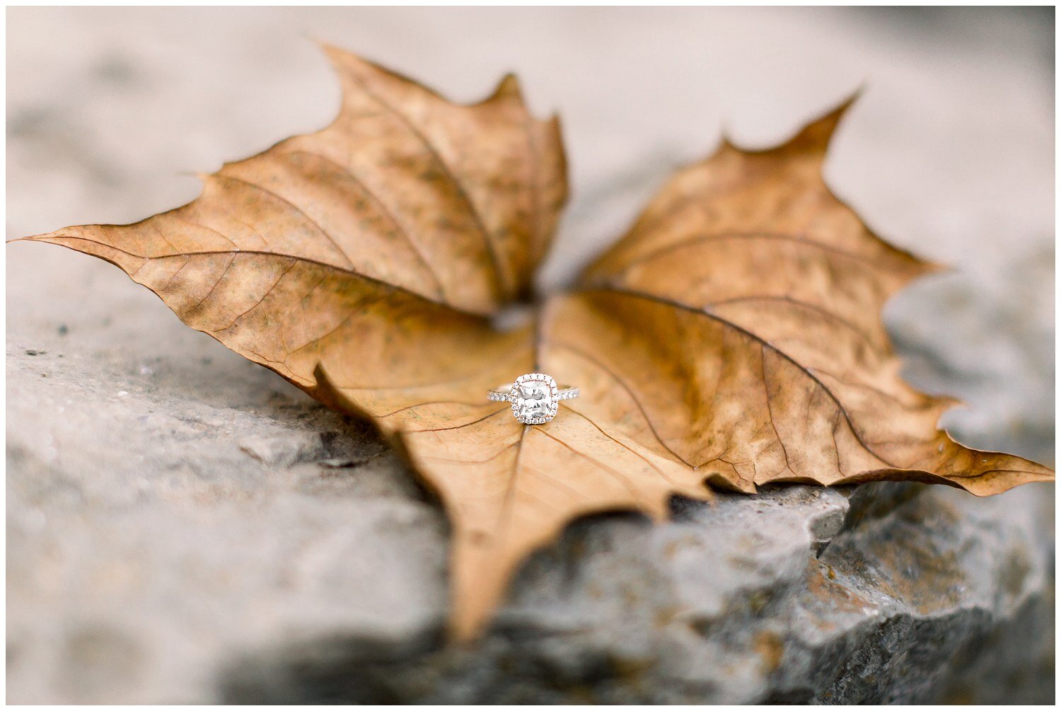 Line-Creek-Engagement-Photos-FandC-10.14.20-Elizabeth-Ladean-Photography-photo-_6509.jpg