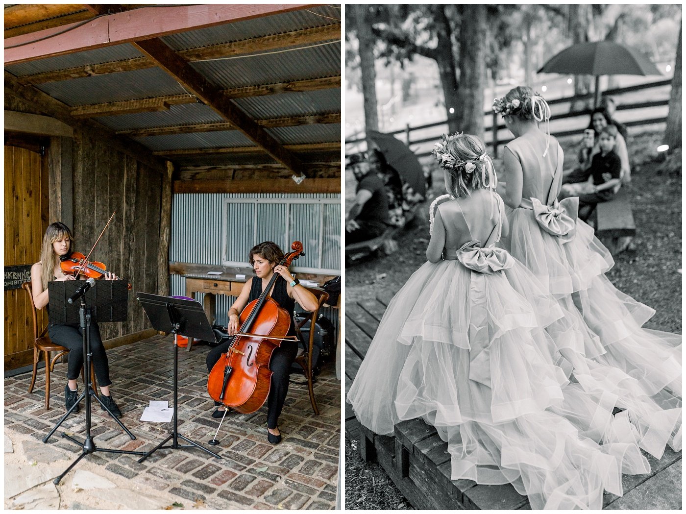 The-Barn-at-Riverbend-Wedding-Photos-A+J-09-2022-Elizabeth-Ladean-Photography-photo-_0555.jpg