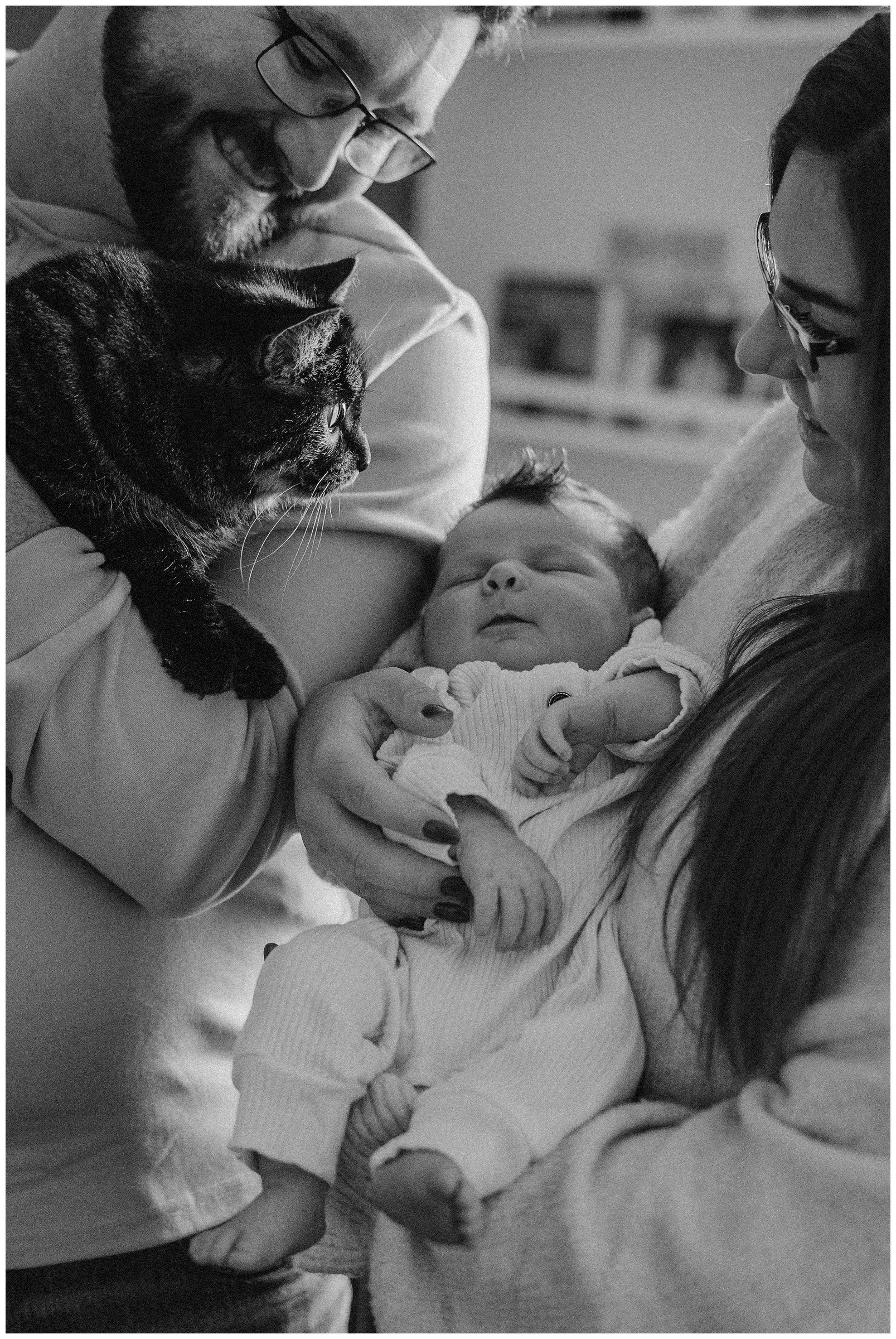 parents-with-cat-newborn.jpg
