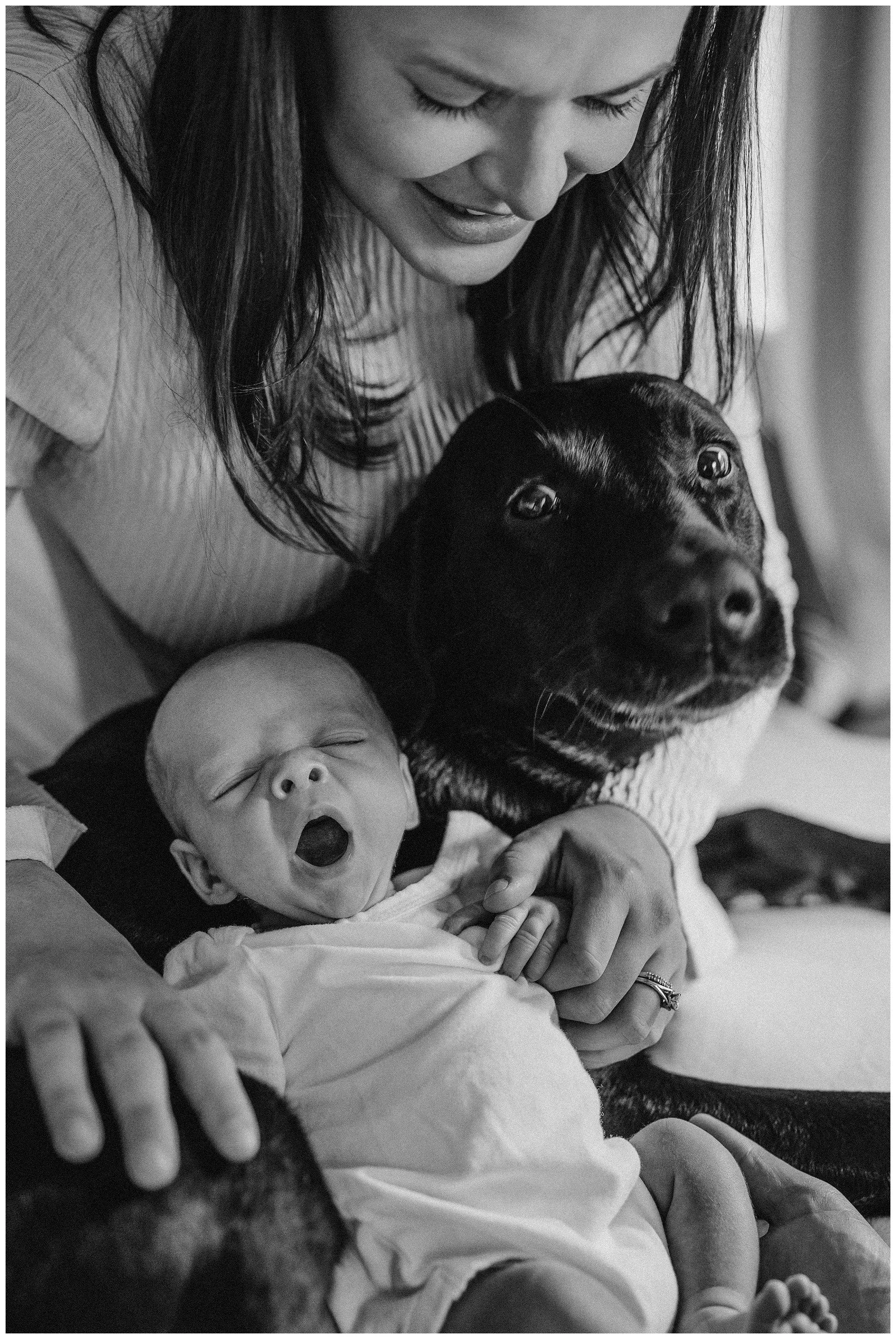 newborn-with-family-dog.jpg