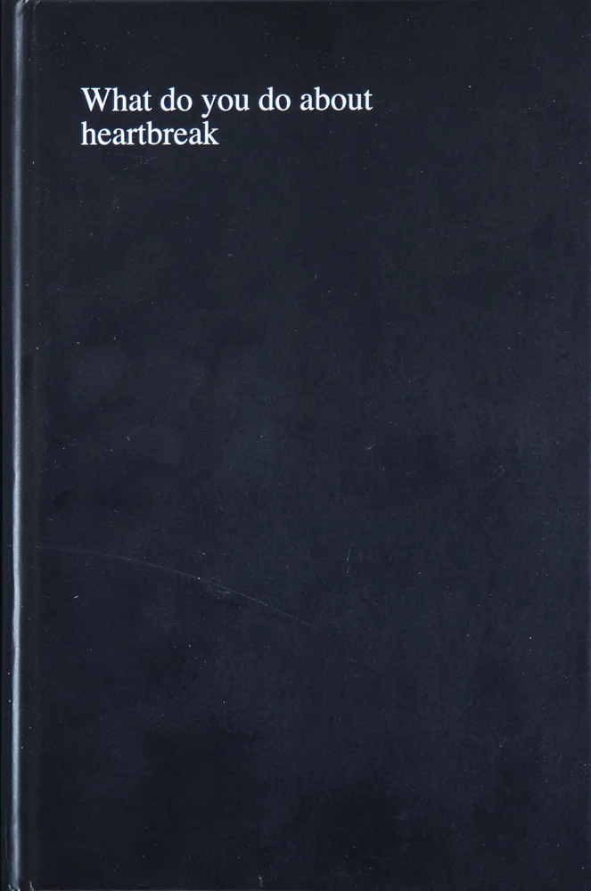 "What do you do about heartbreak." I asked men on craigslist: "what do you do about heartbreak?" 426 pages, hardcover.