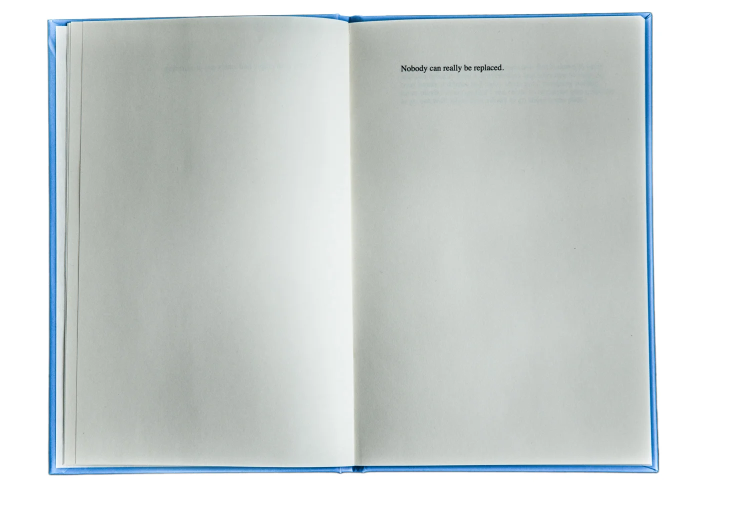 Excerpt from "There is always a chance of finding someone to fill the void"