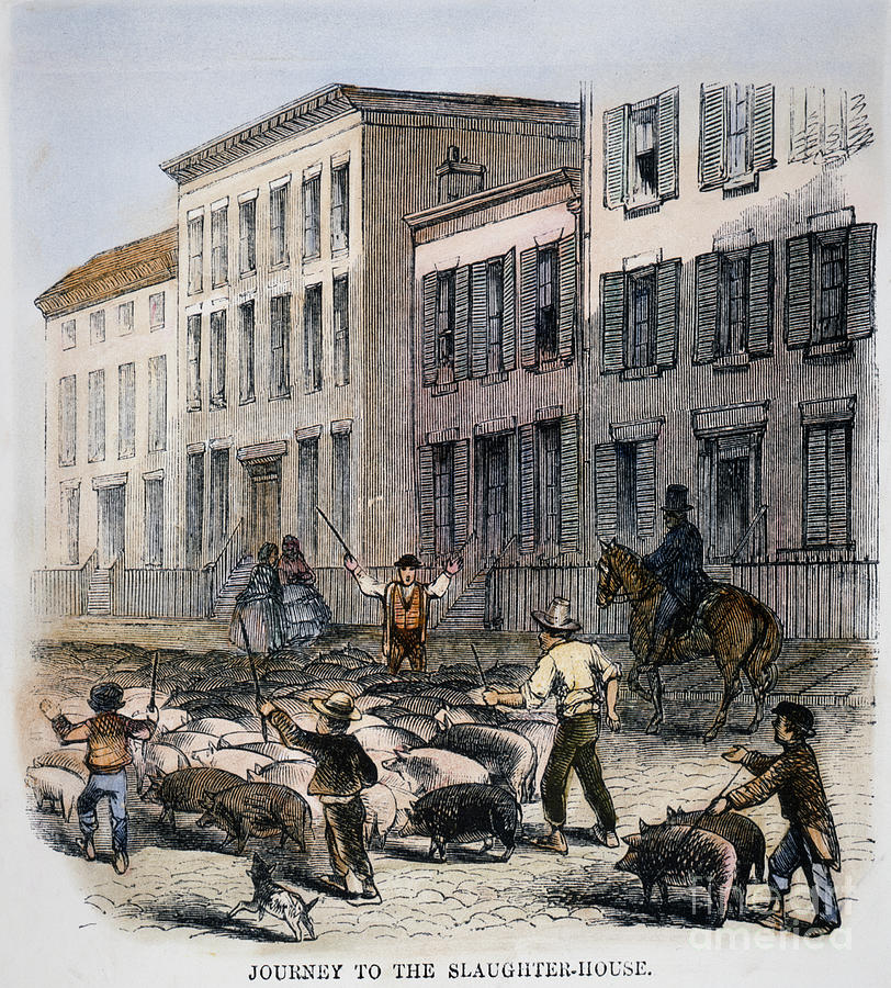 Public domain