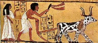 ancient ag 2.jpeg