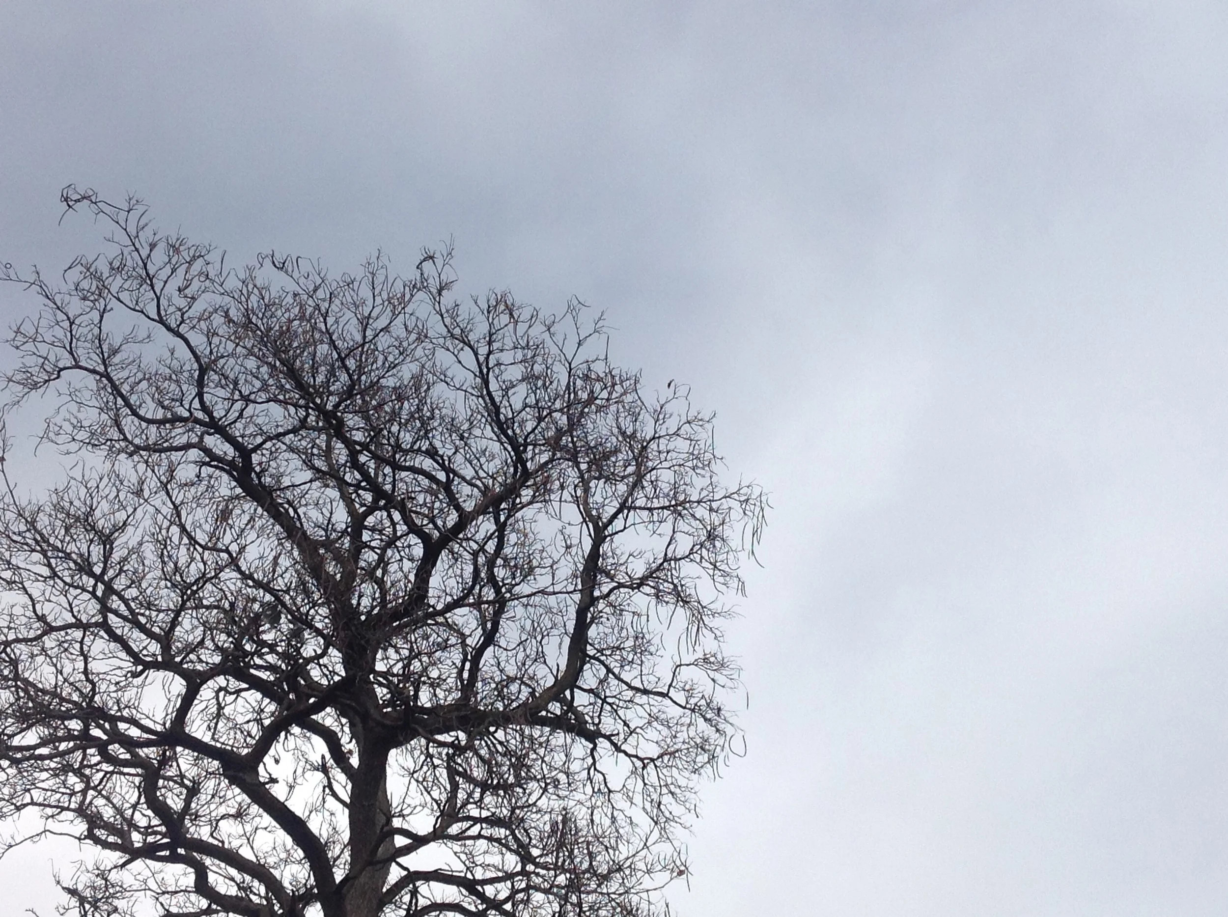 Random Image Series 2014