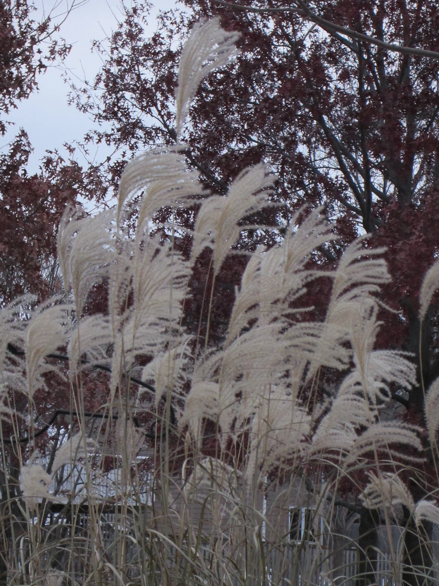 Random Photo Series 2014