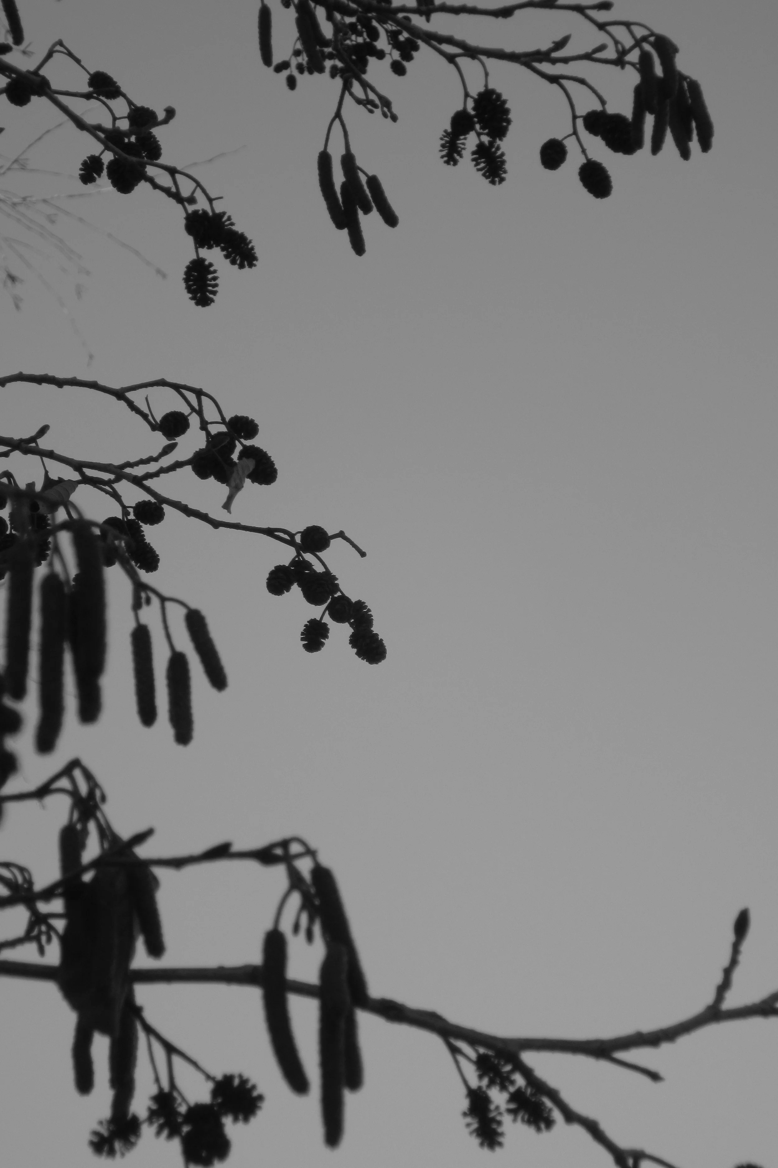 Random Photo Collection 2015