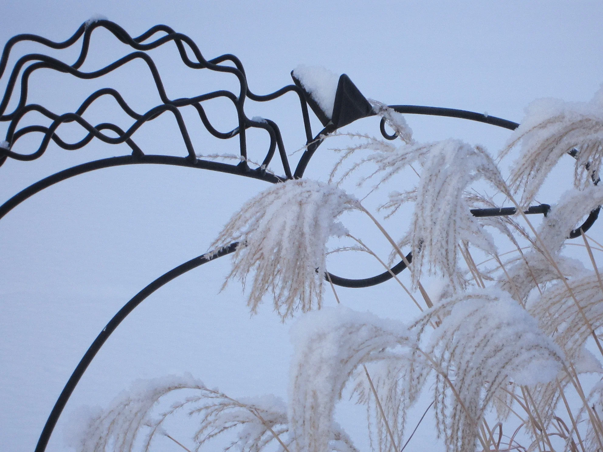 Random Photo Collection 2015