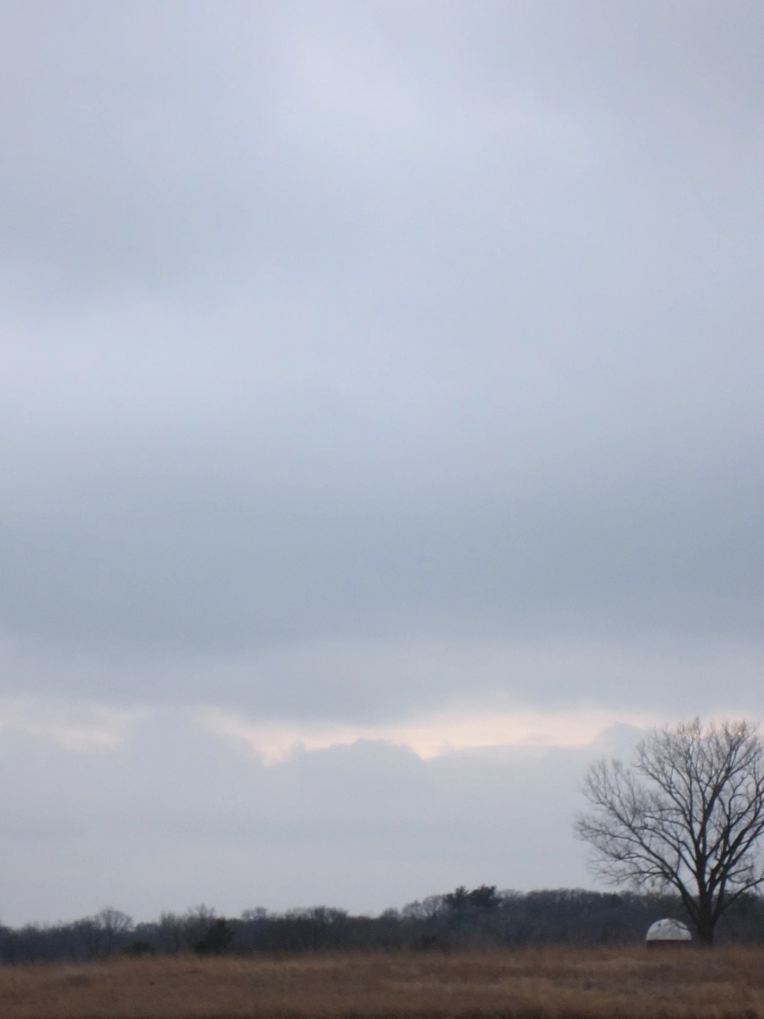 Random Photo Series 2015