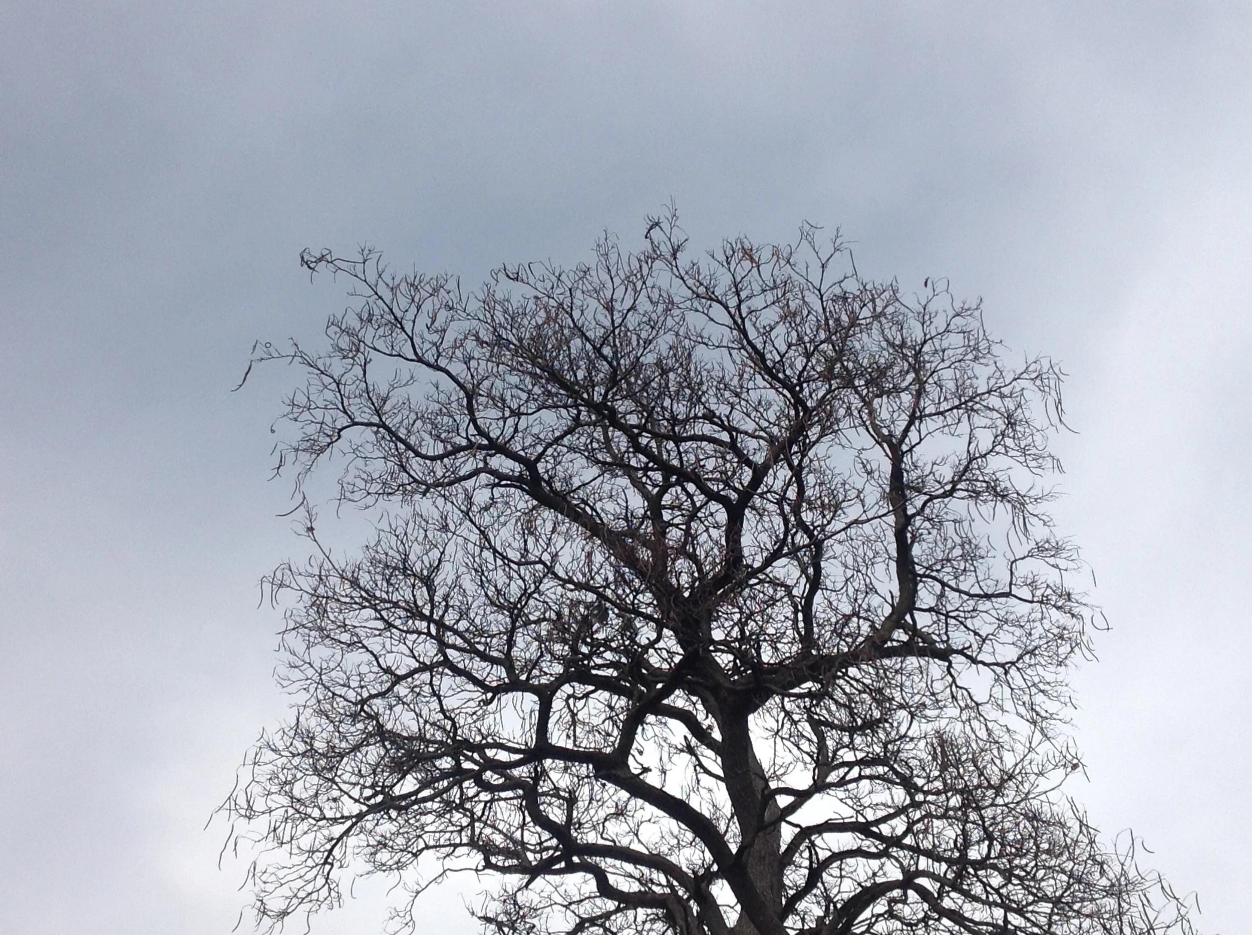 random photo series 2015
