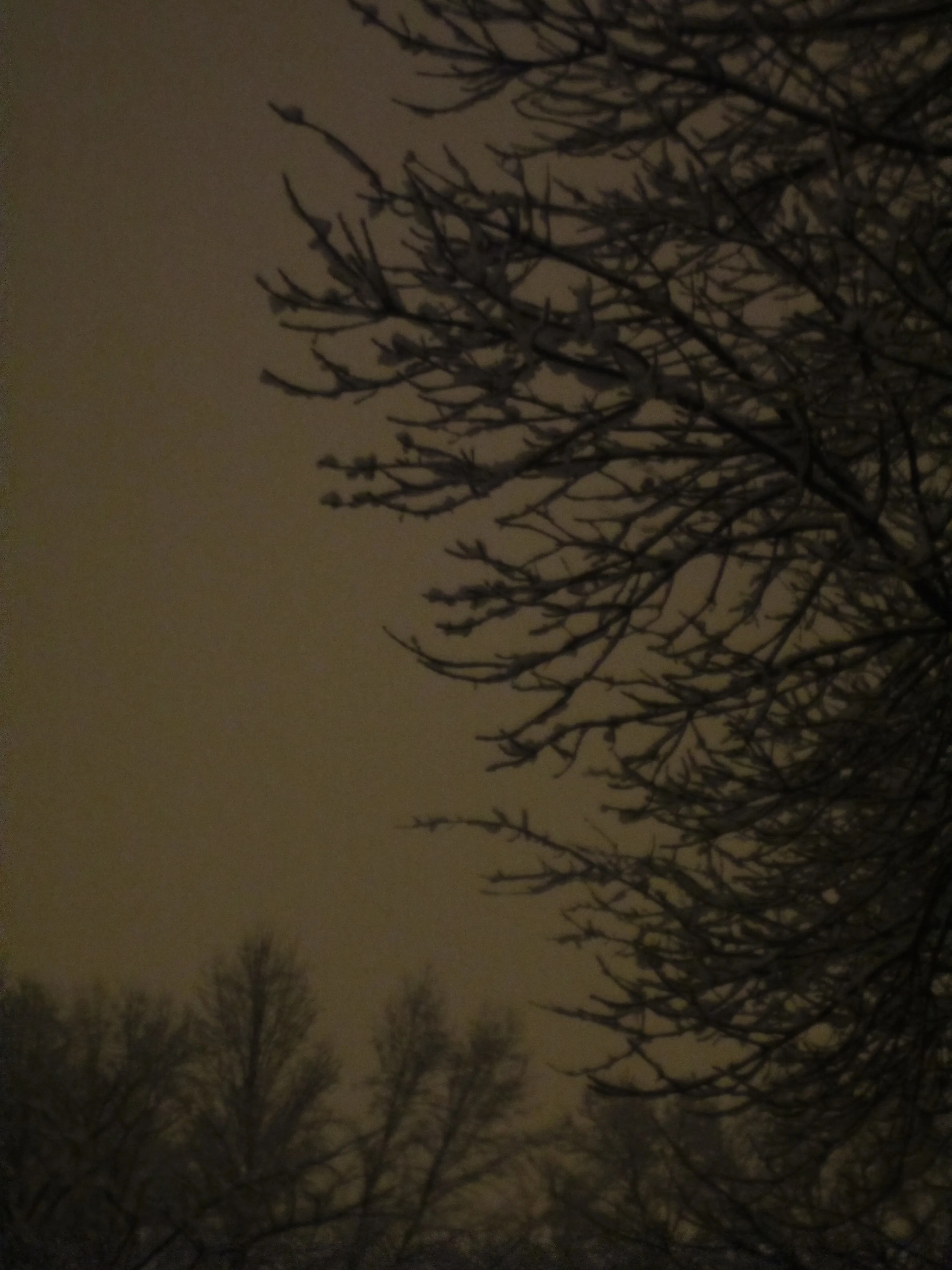 random photo series 2015