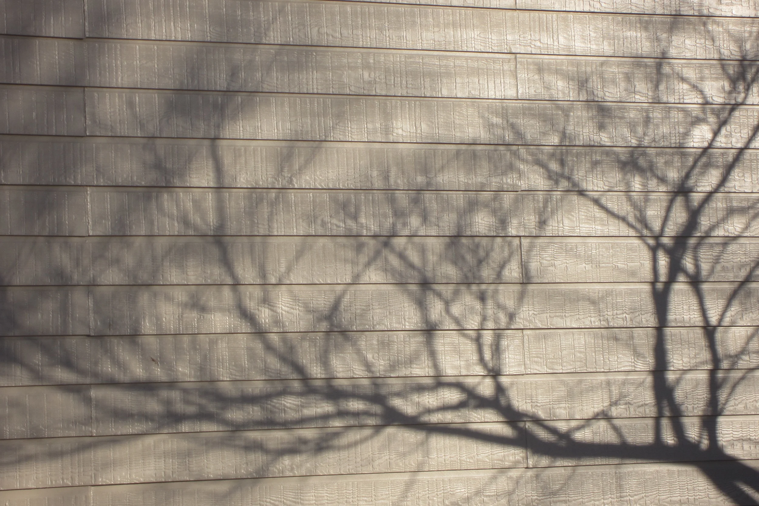 random photo series 2015