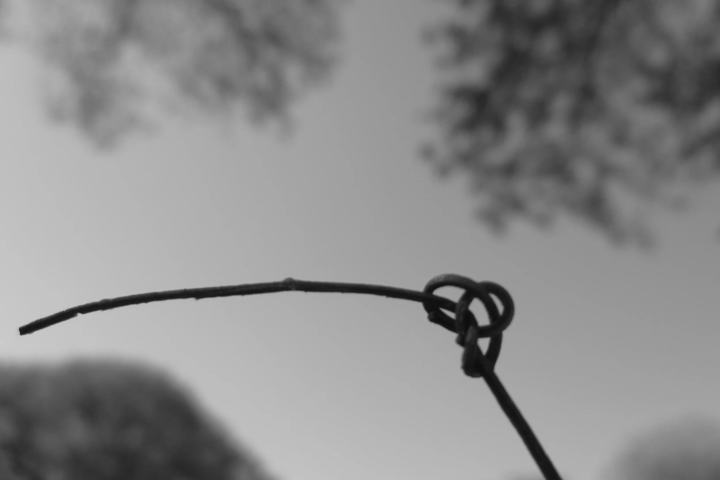 random photo series 2015