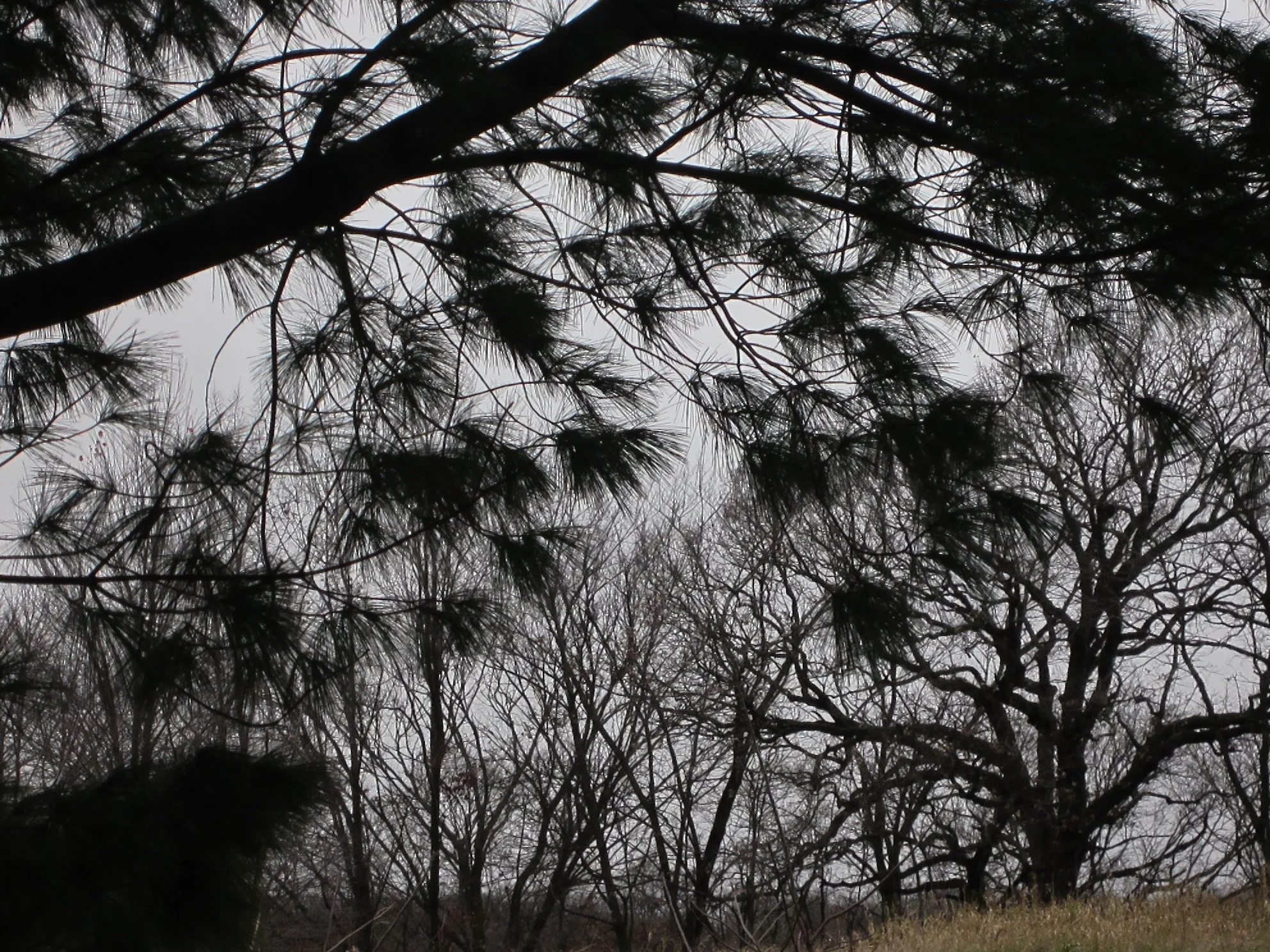 random photo series 2015