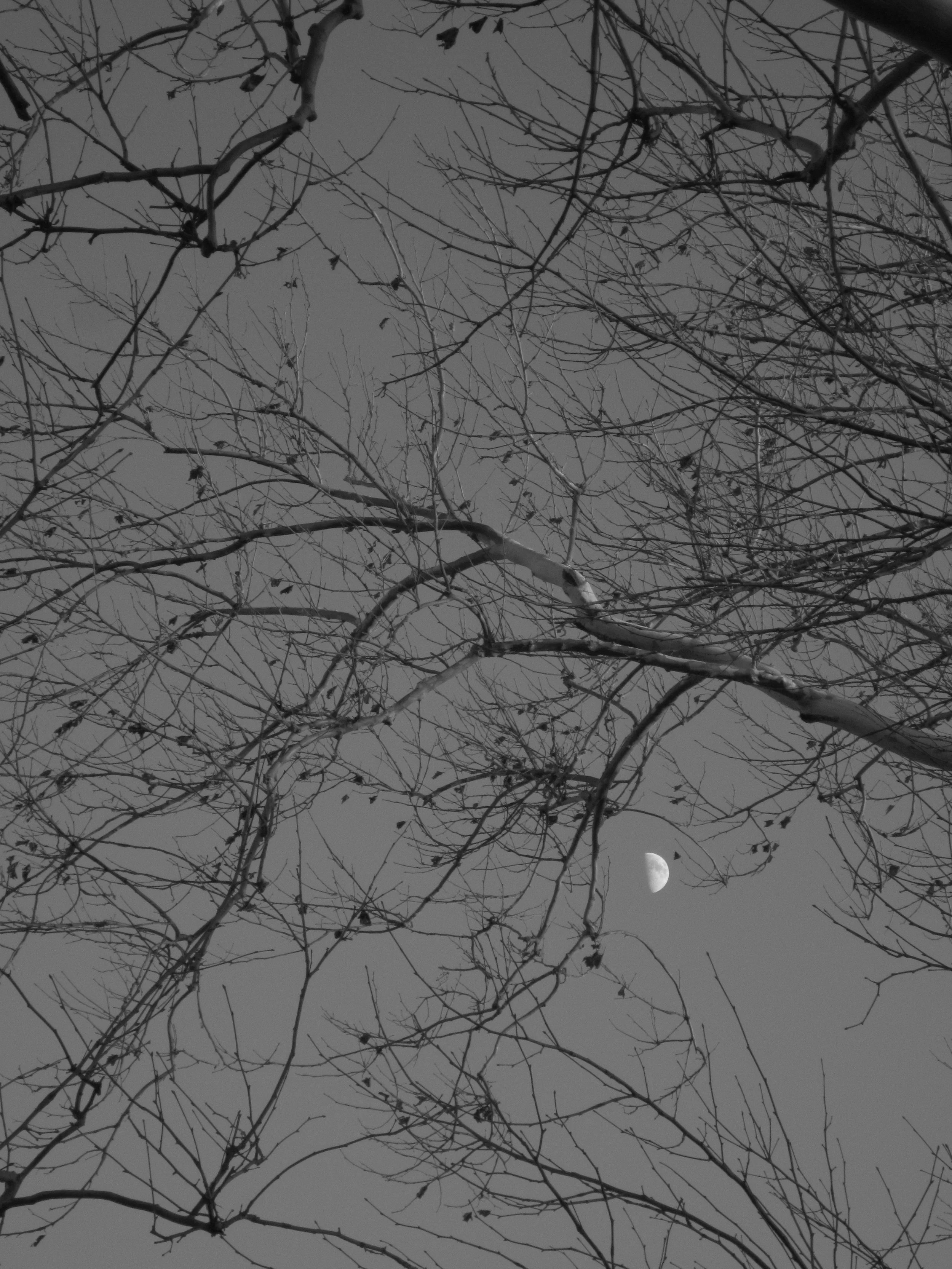 ramdom photo series 2015