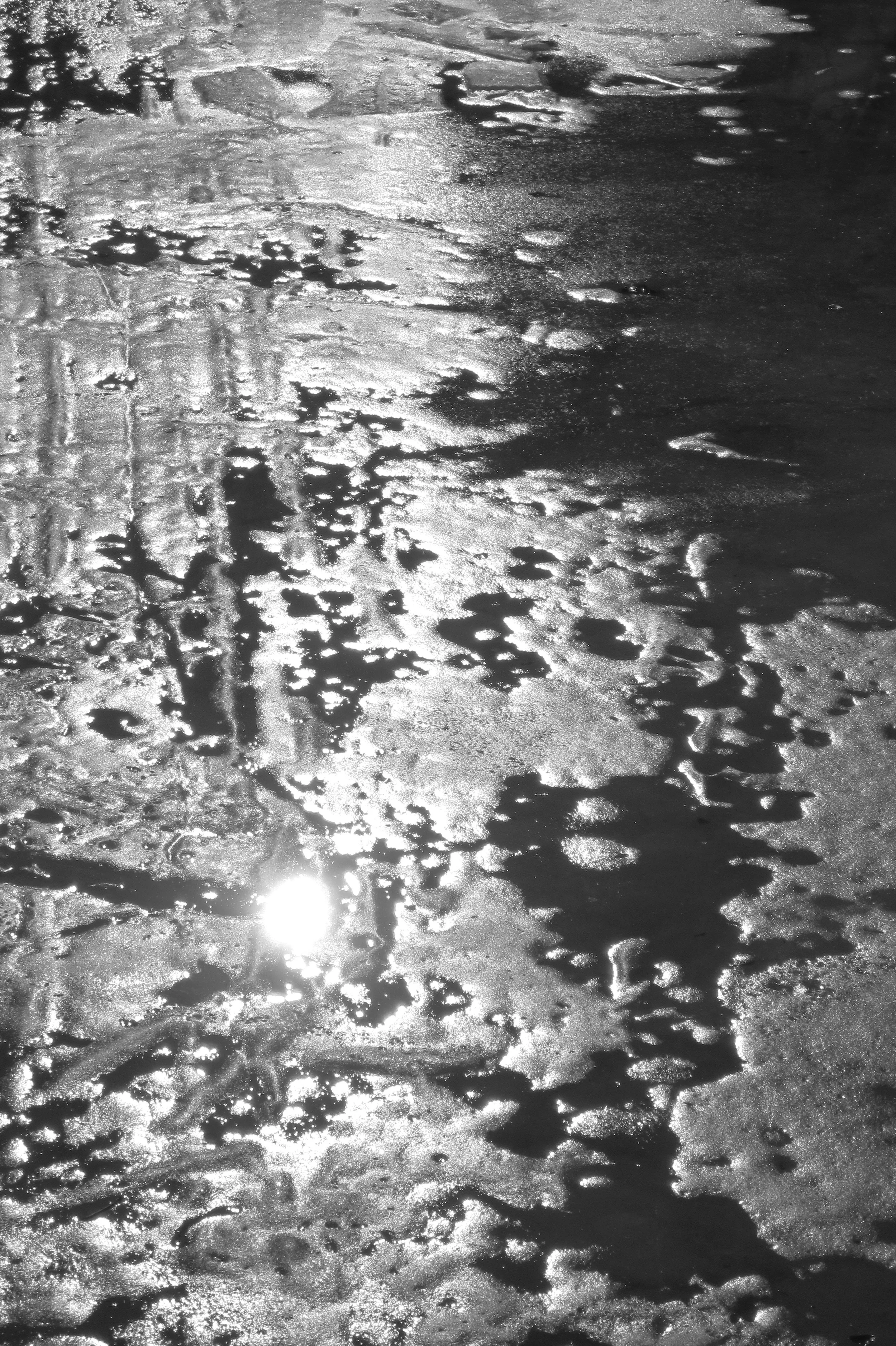 random photo series 2015