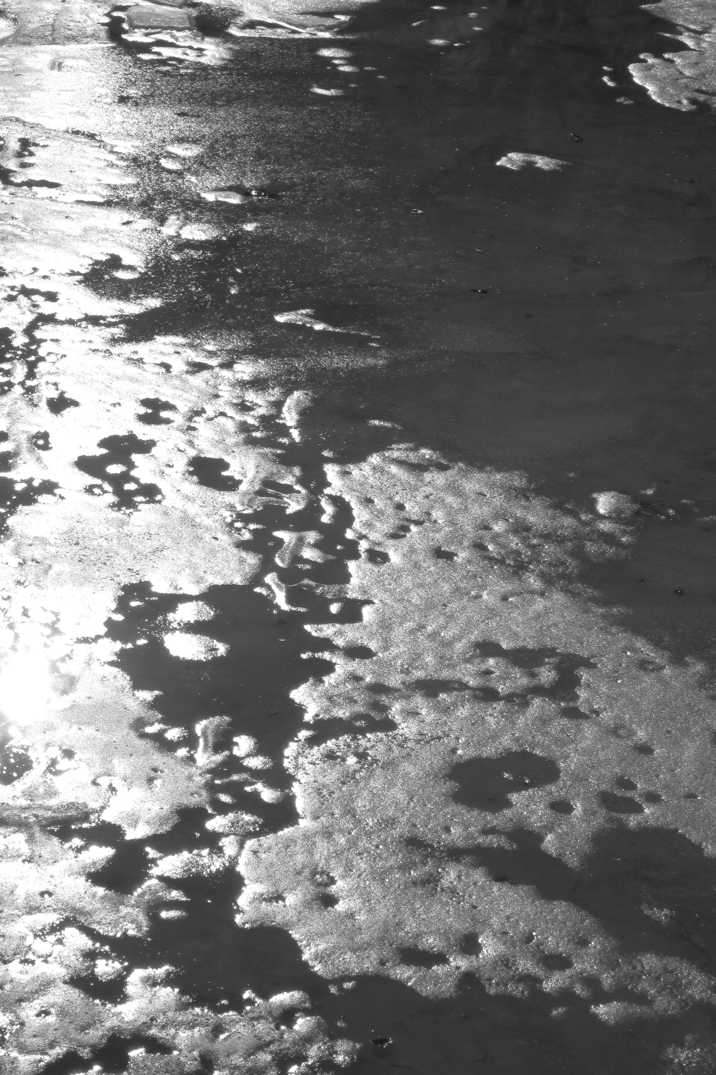 random photo series 2015