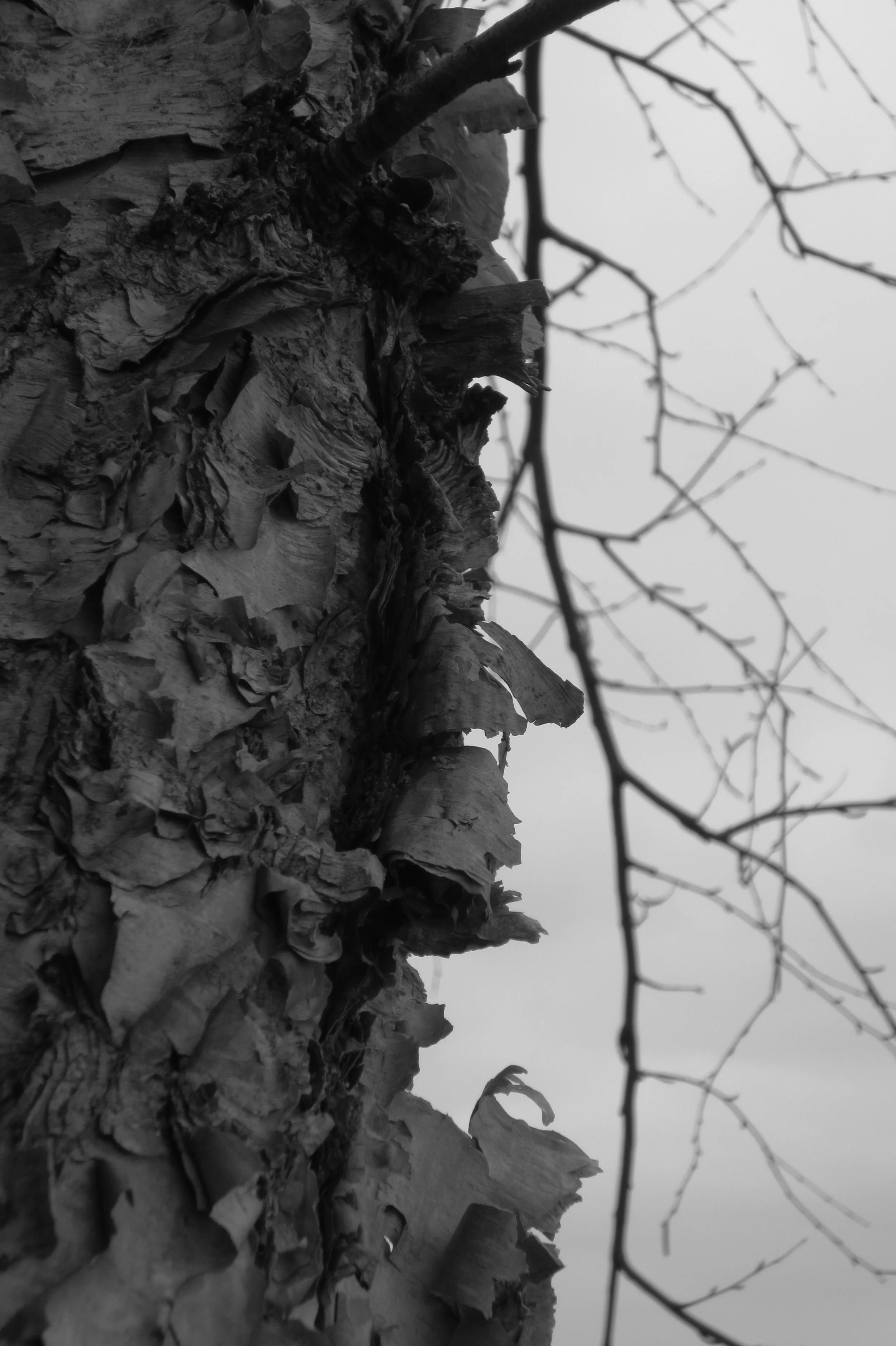 random photo series 2015