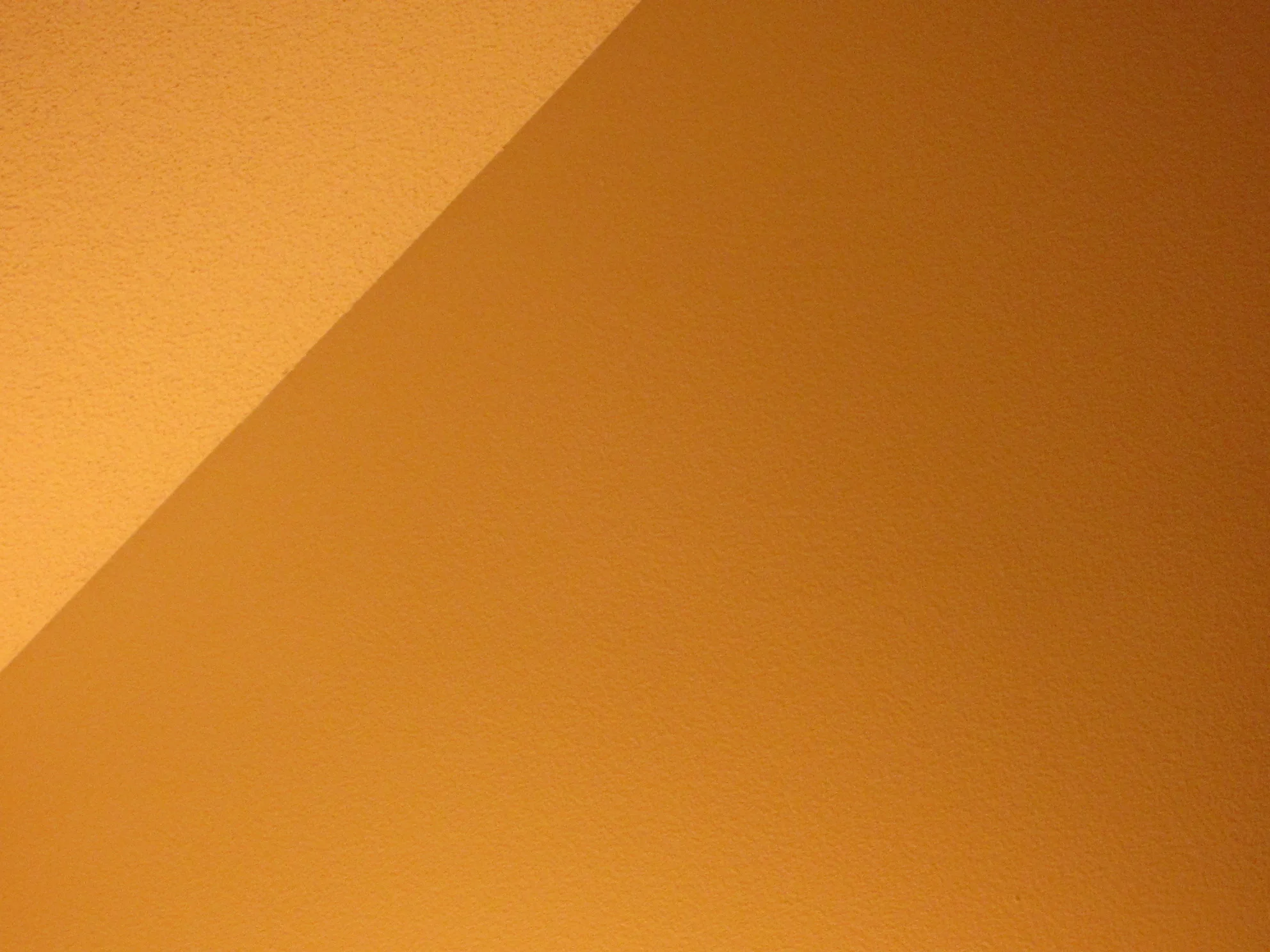 random photo series
