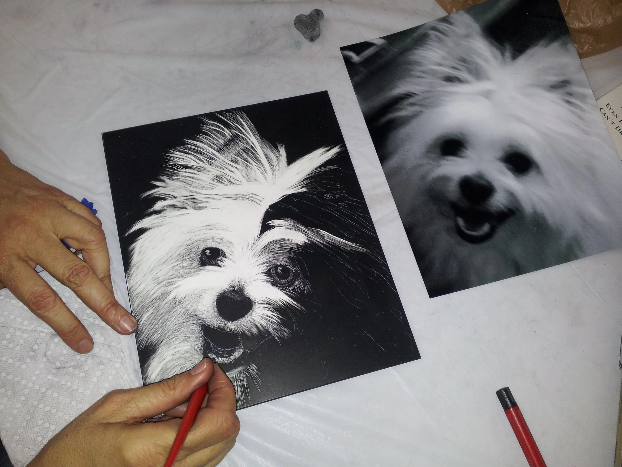 student working on scratchboard.jpg