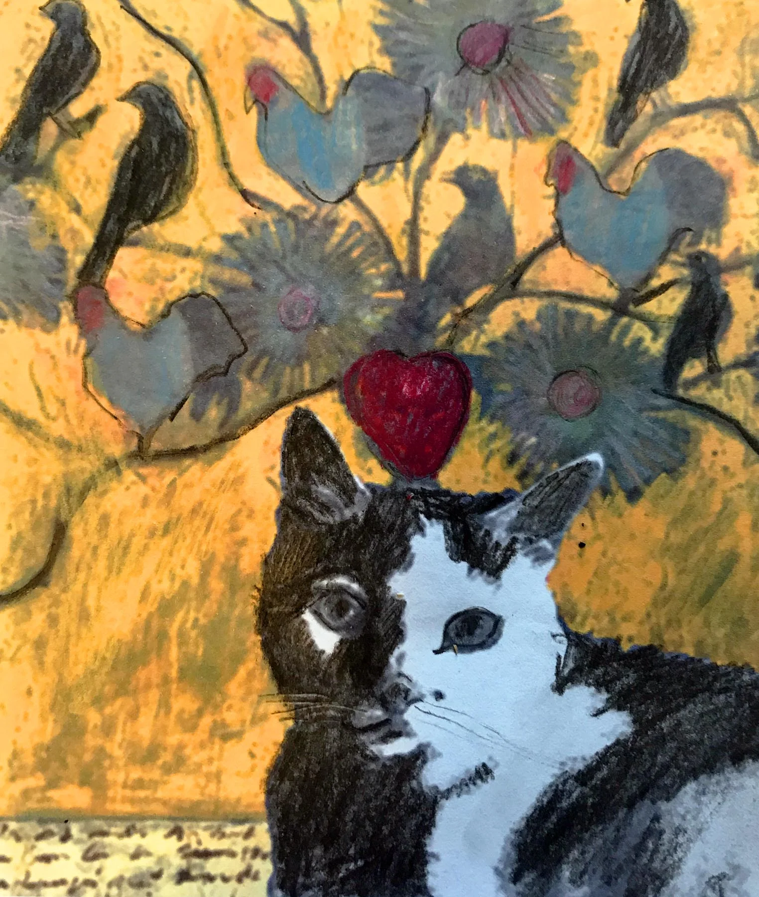 Image transfer cat .jpg