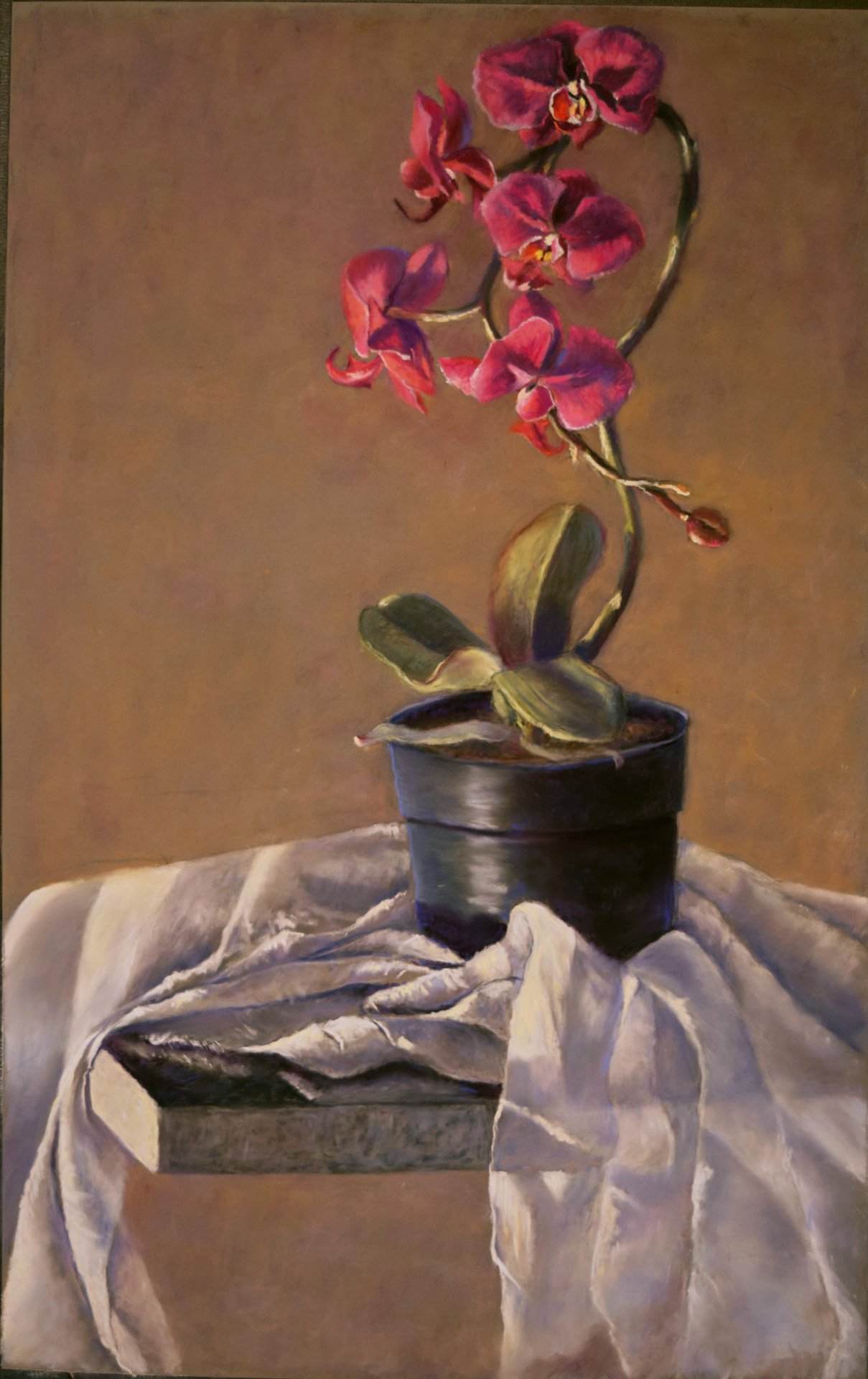 GET IN TO SHAPE WITH OILS