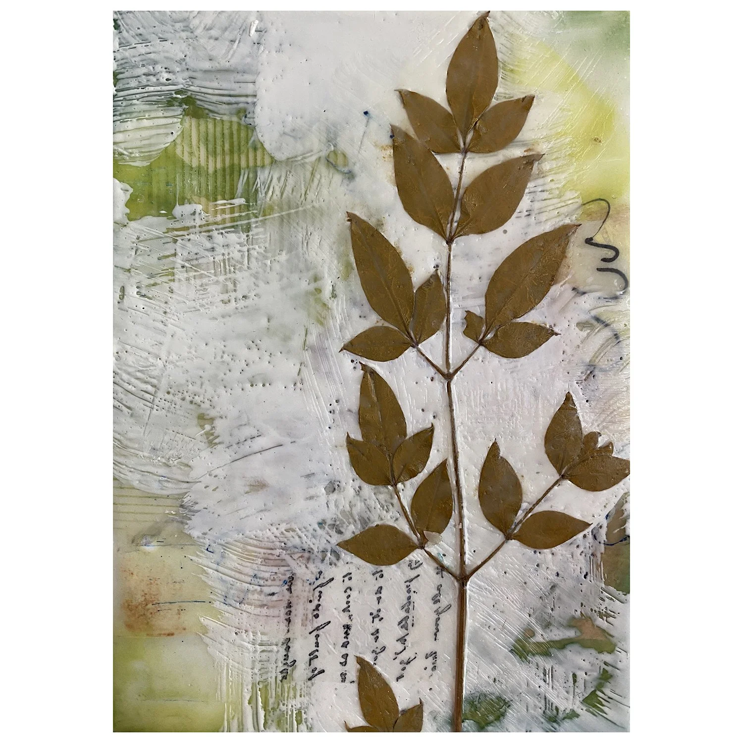Natural Impressions with plant.jpg