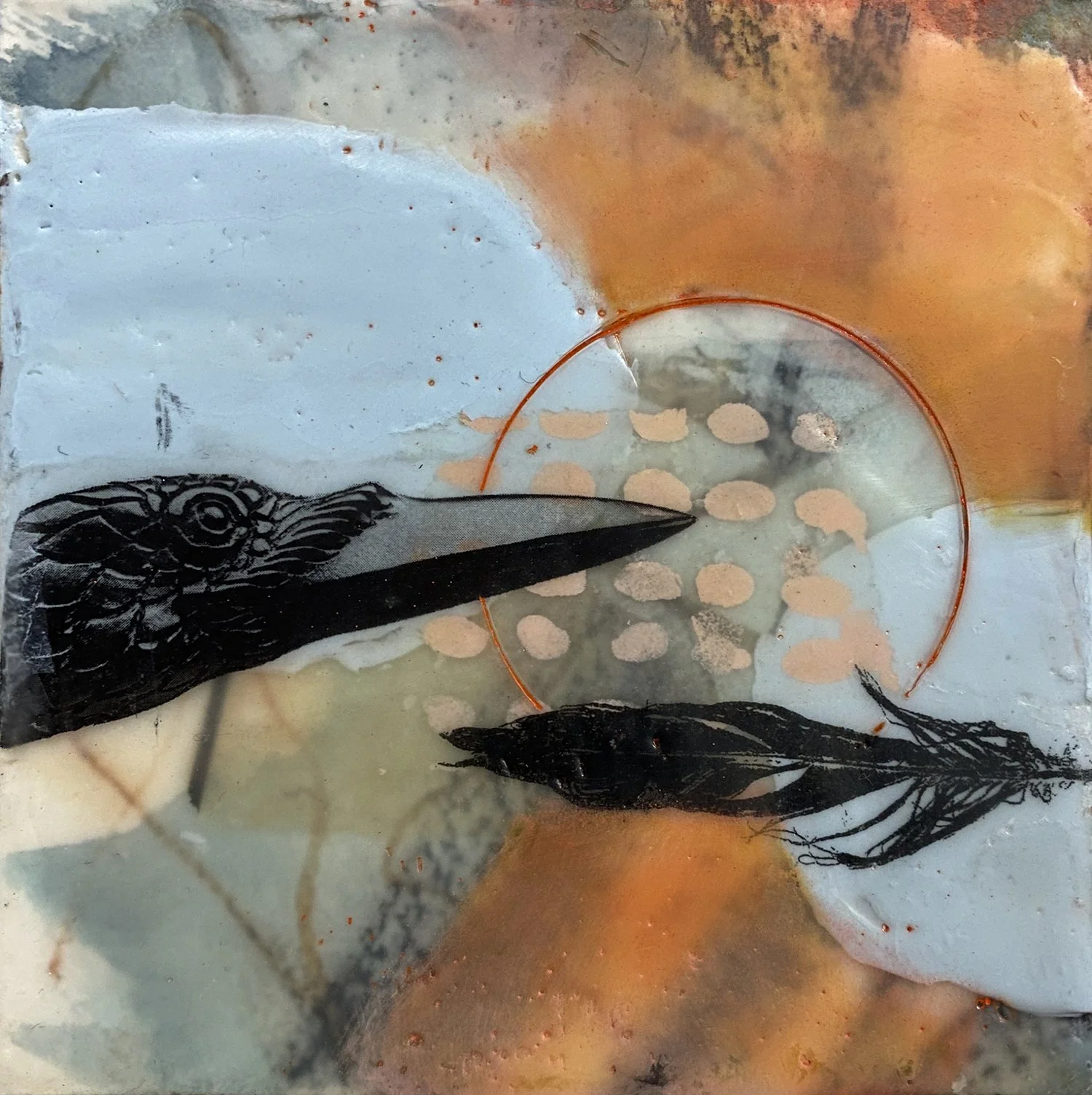 BridgetBenton_crow from grid.jpg