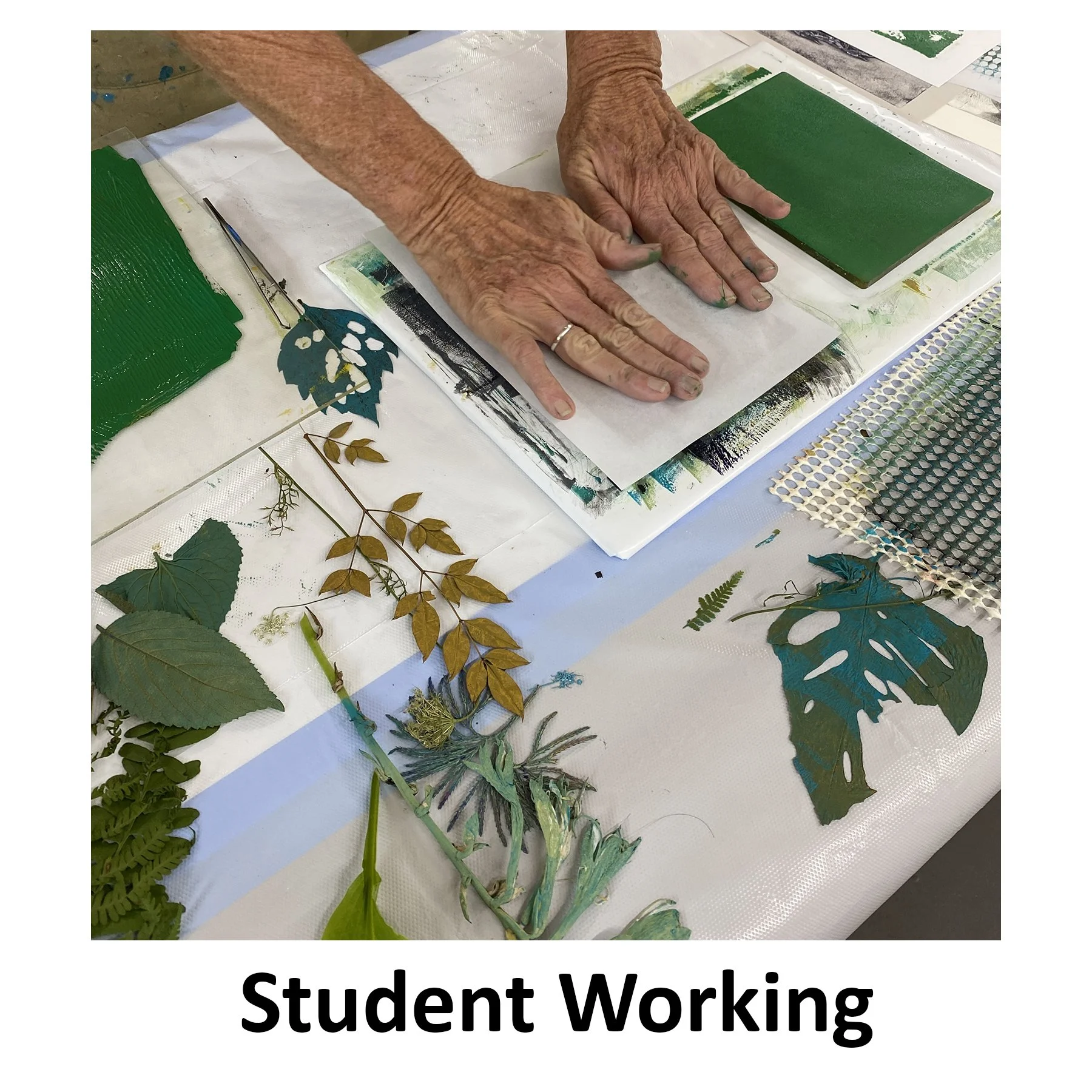 NaturalImpressions_StudentWorking.jpg